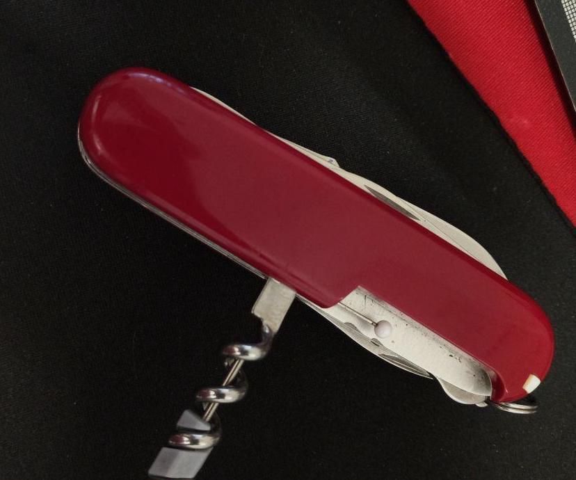 Sturdy Needle for Swiss Army Knife.