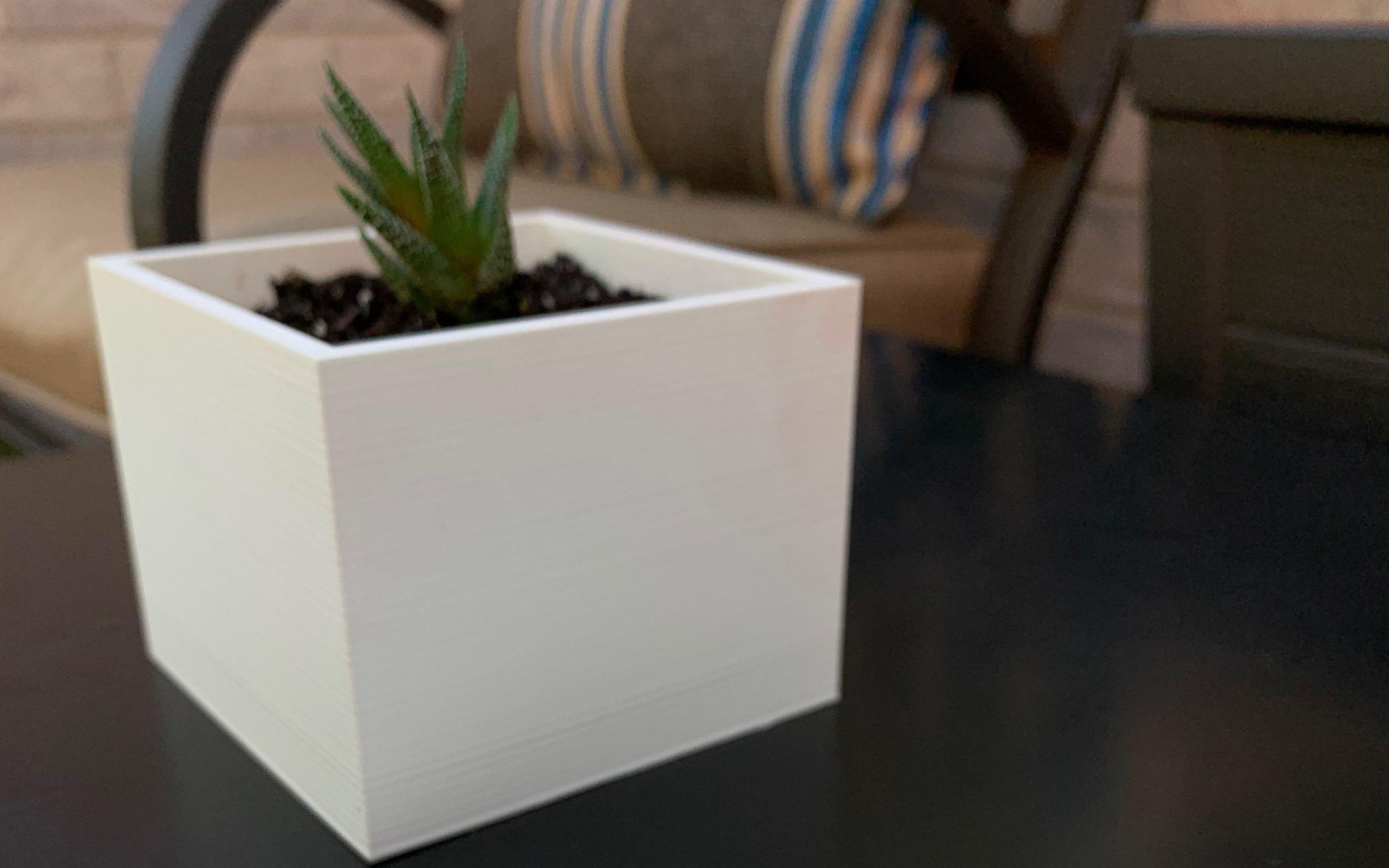 Succulent Planter With Secret Compartment