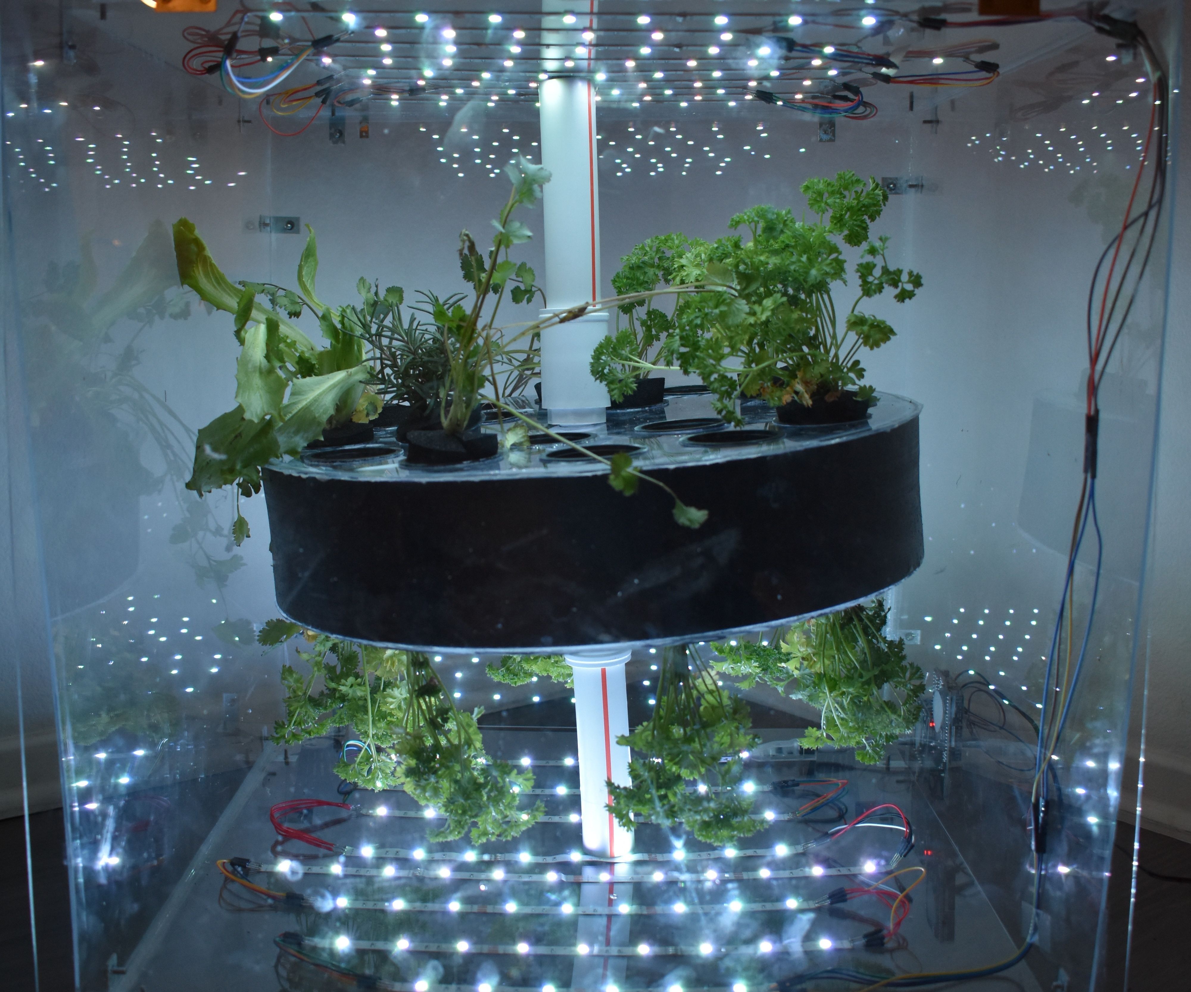 Cylindrical Aeroponics Growth System