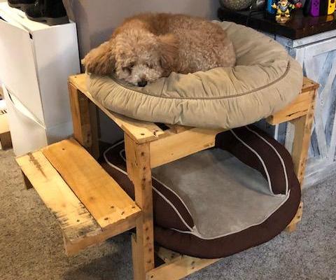 Double Decker Doggy Bed