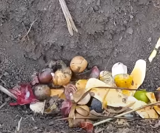The Art of Composting: How to Turn Kitchen Scraps Into Garden Gold