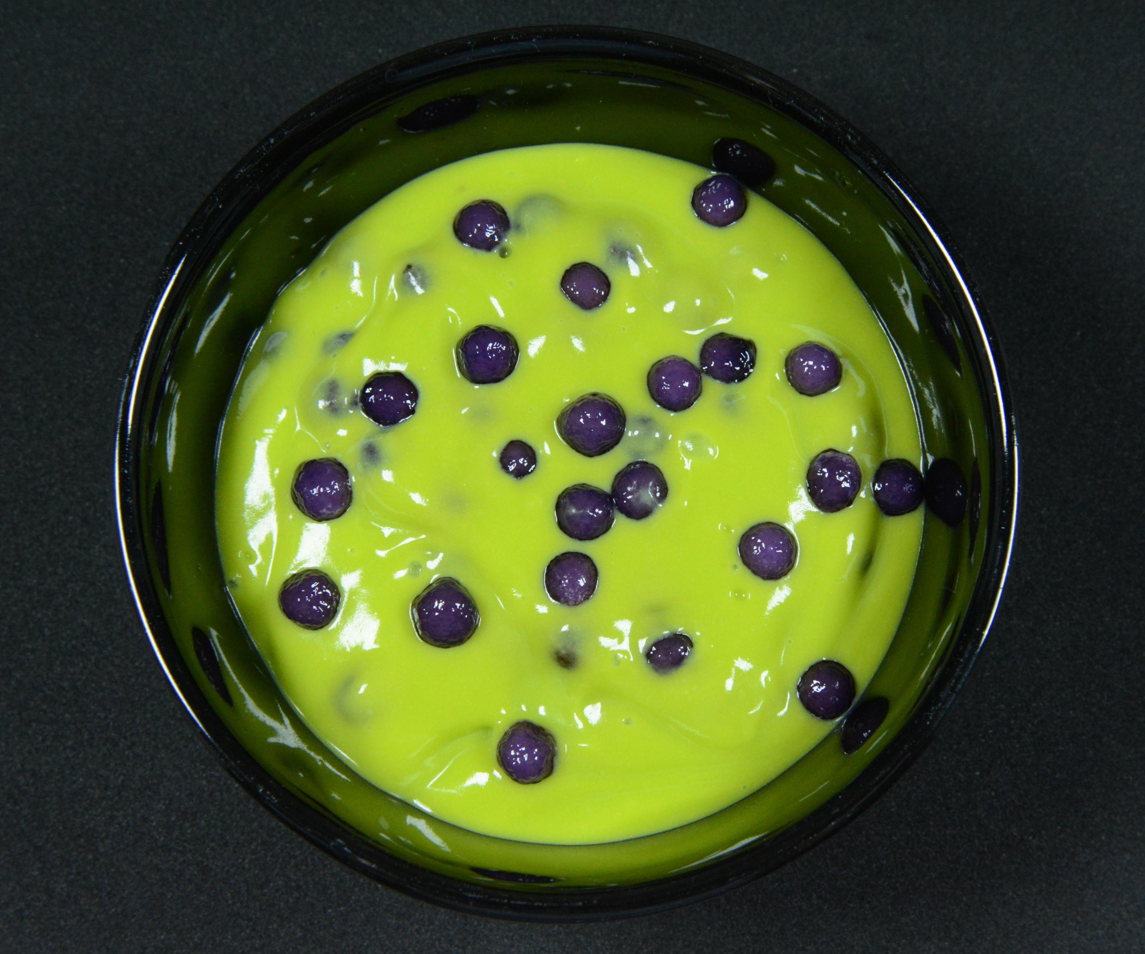 Gross Spider Eggs Boba Pudding 