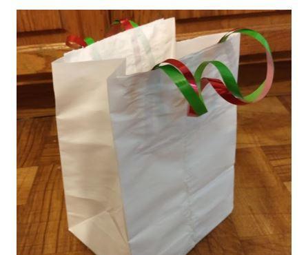 Paper Bag 