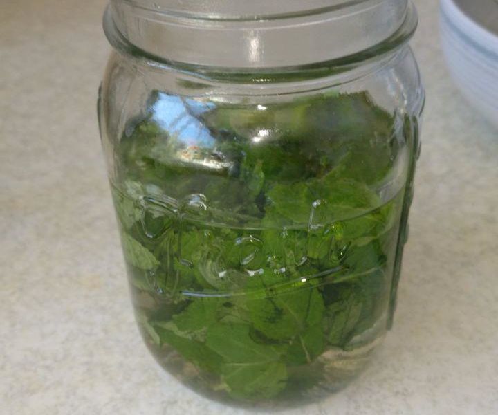 Mojito Rum/ Mint Extract From Fresh Mint