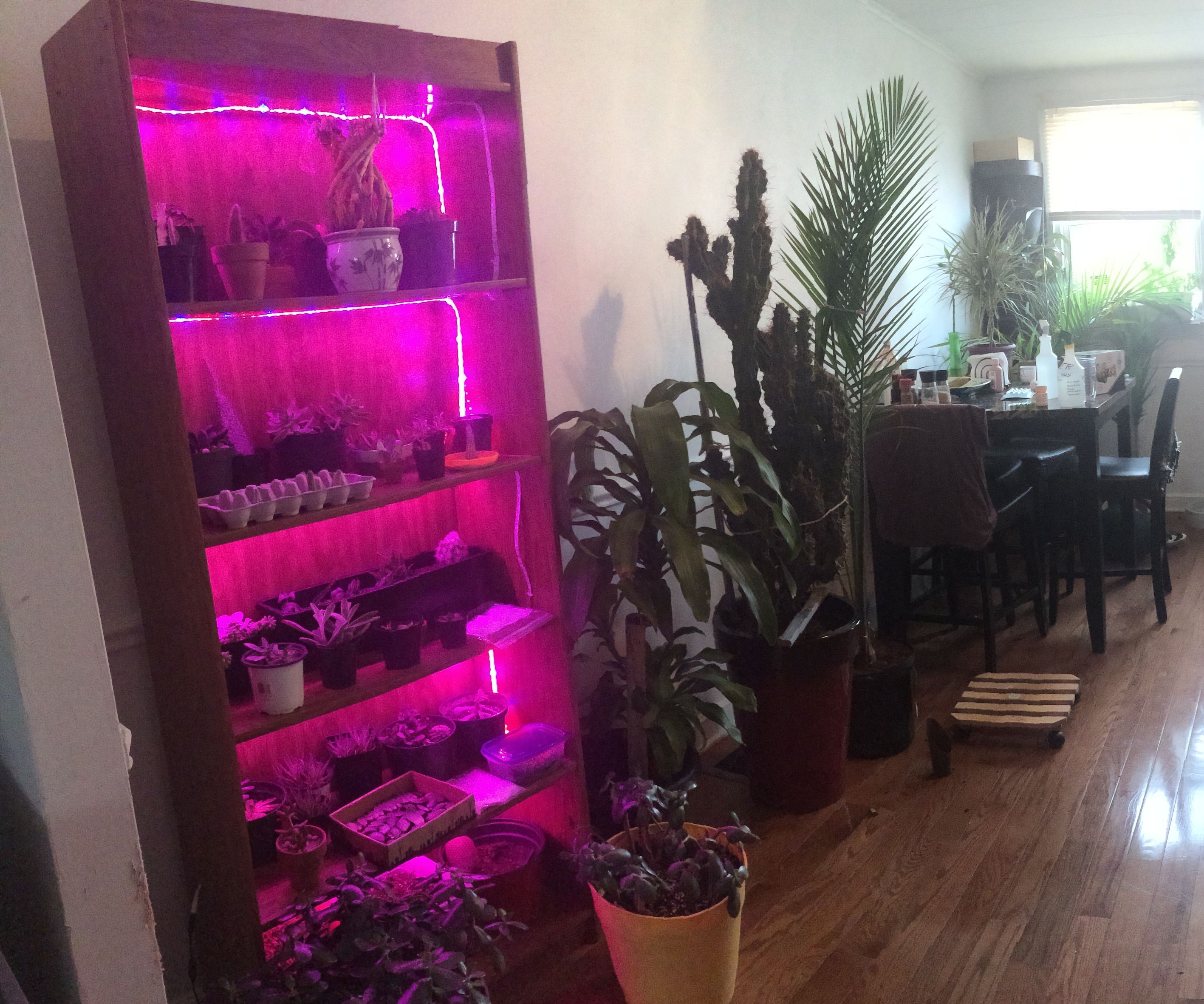 Grow Case - Plants Not Books