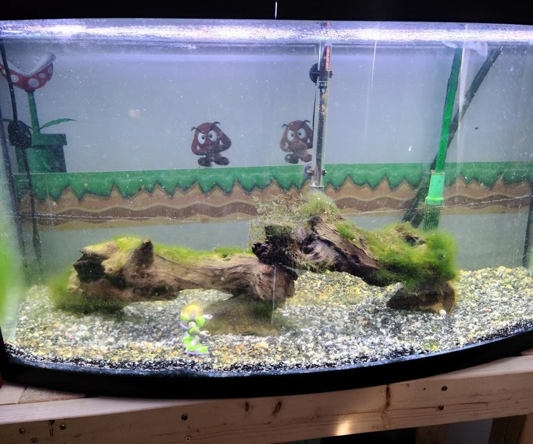 Aquarium Stand With Bookcase