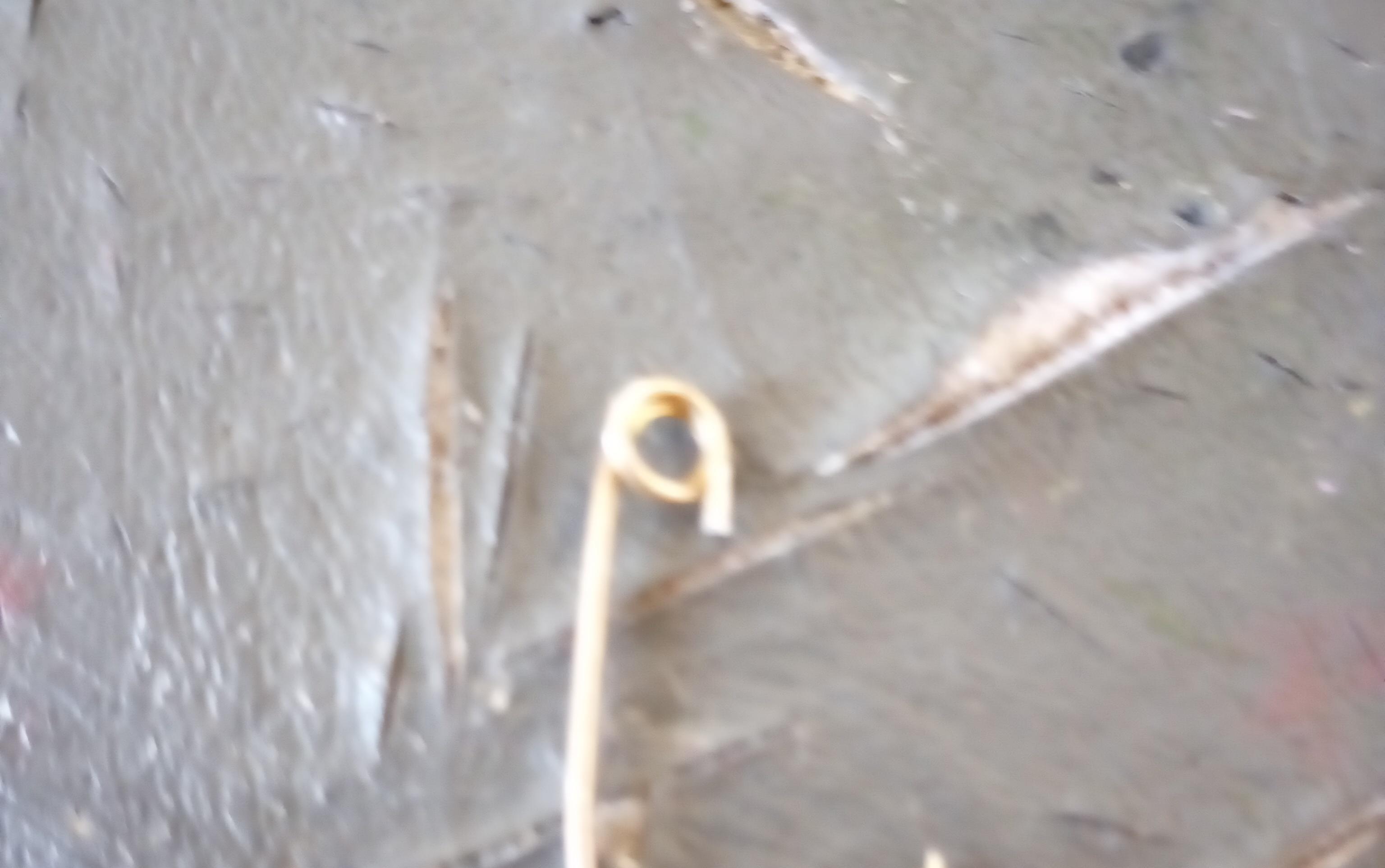 Safety Pin Fish Hook