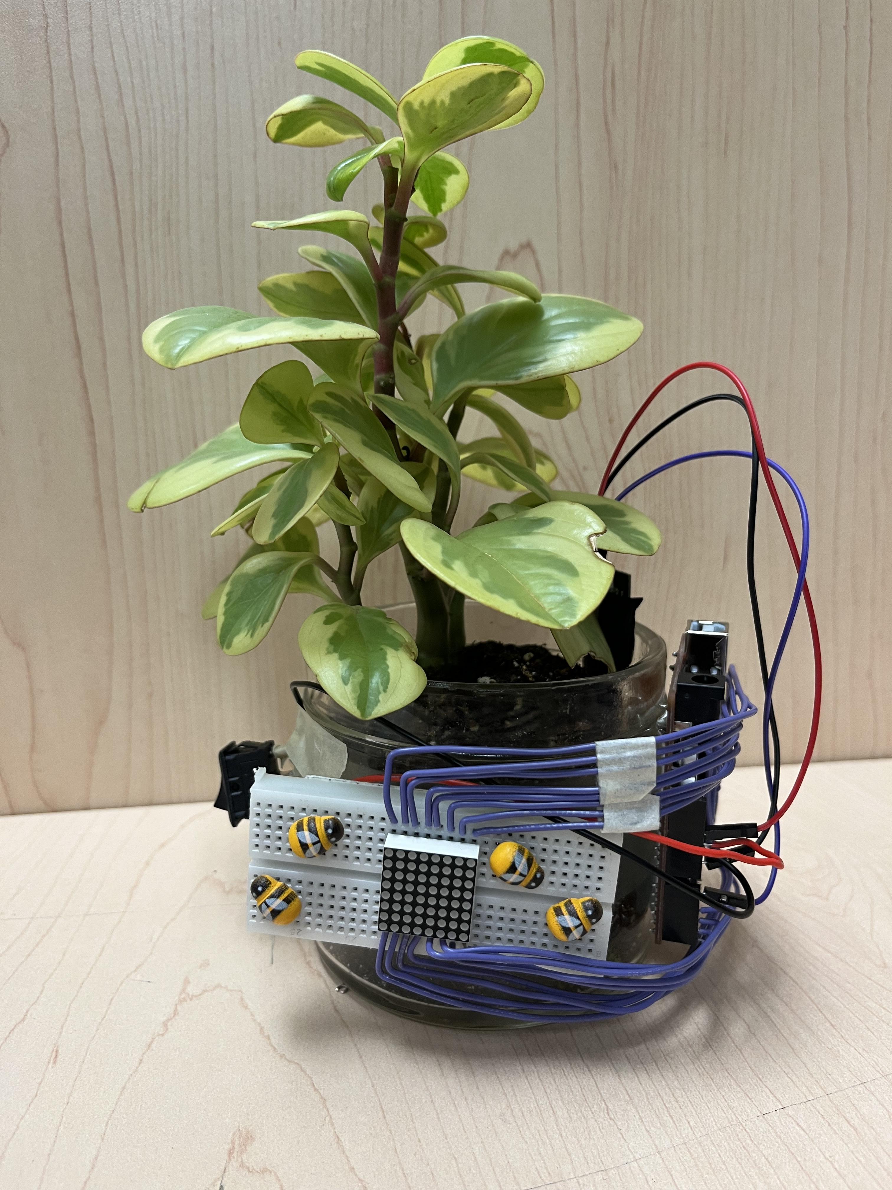 Plant Watering Detector