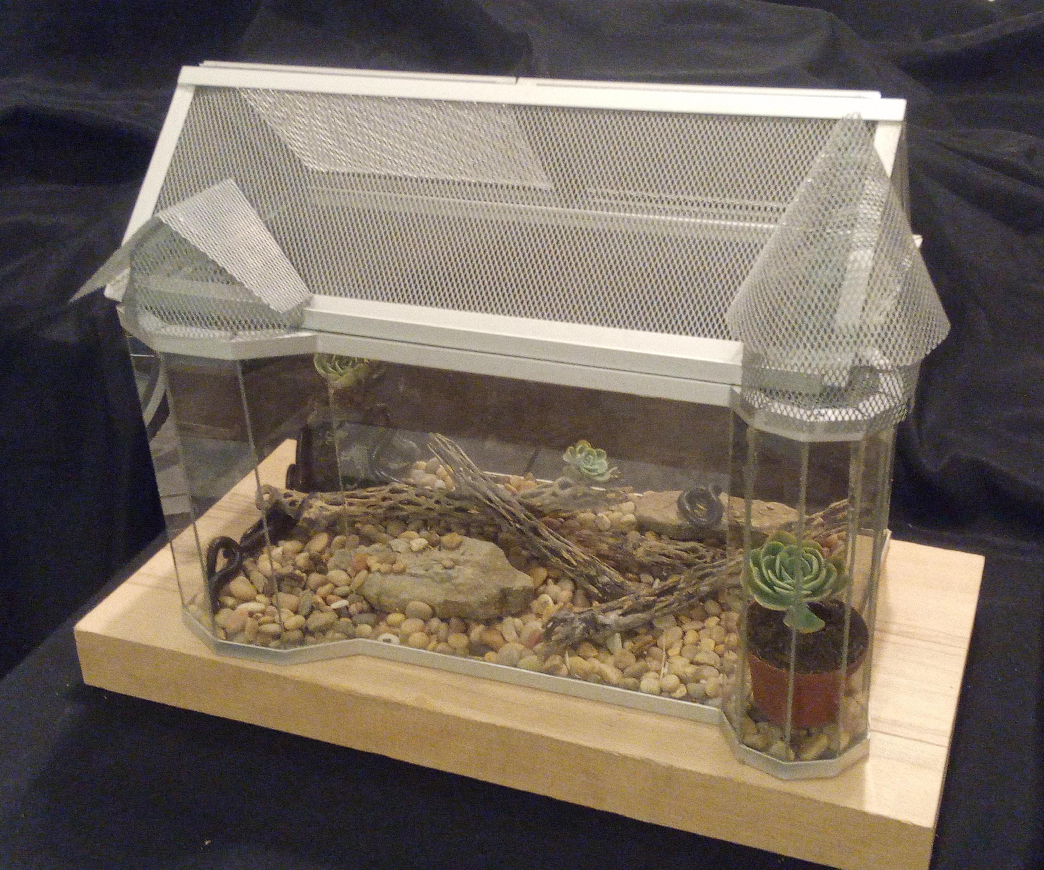 Victorian Insectarium