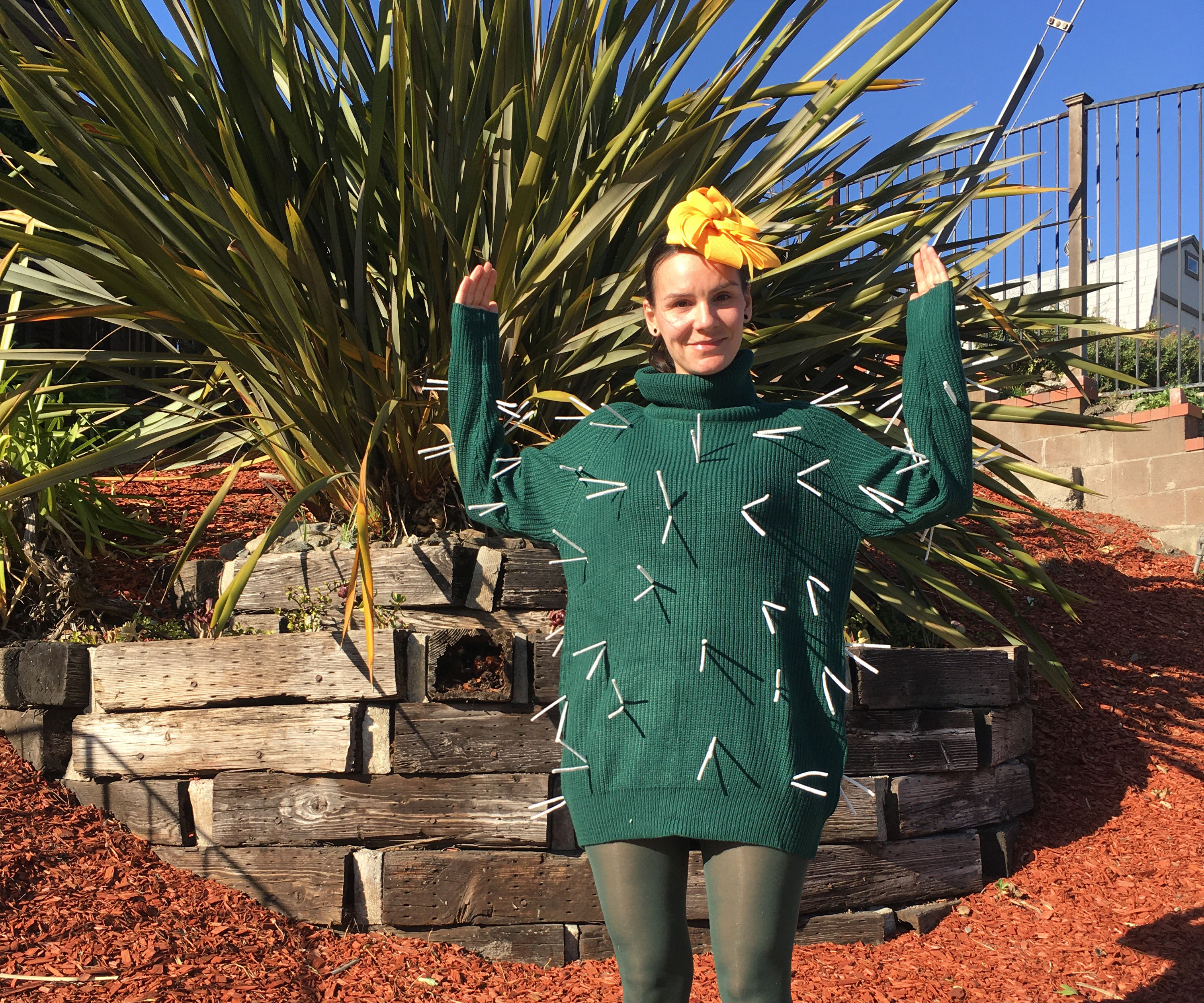 Easy No-Sew Cactus Costume