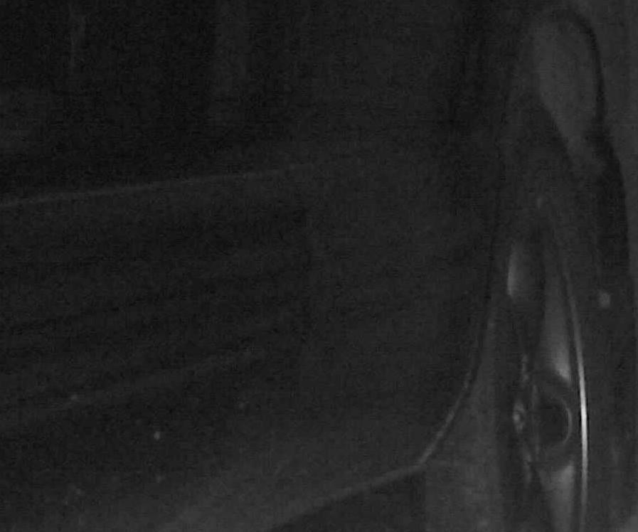 Subaru 2001-2002 SF GT Forester Pest Proofing