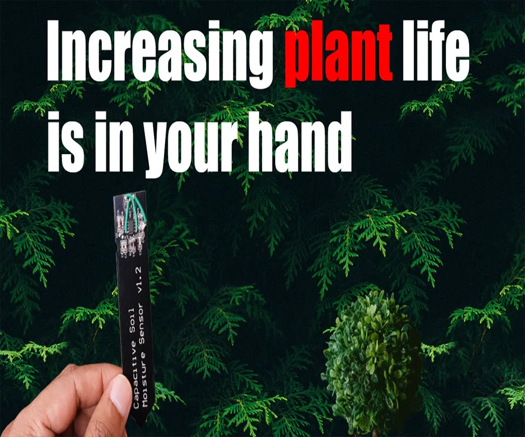 How to Use an LM324 to Monitor Plant Water Requirements