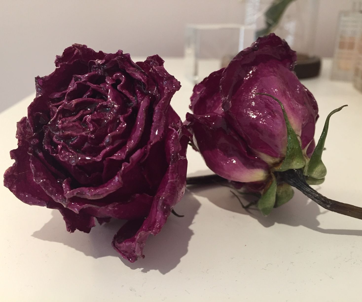 How to Make an Everlasting Glossy Rose