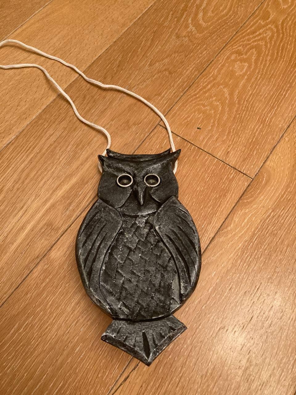 OwlEye Necklace - Jewelry That Helps Visually Impaired People Navigate 