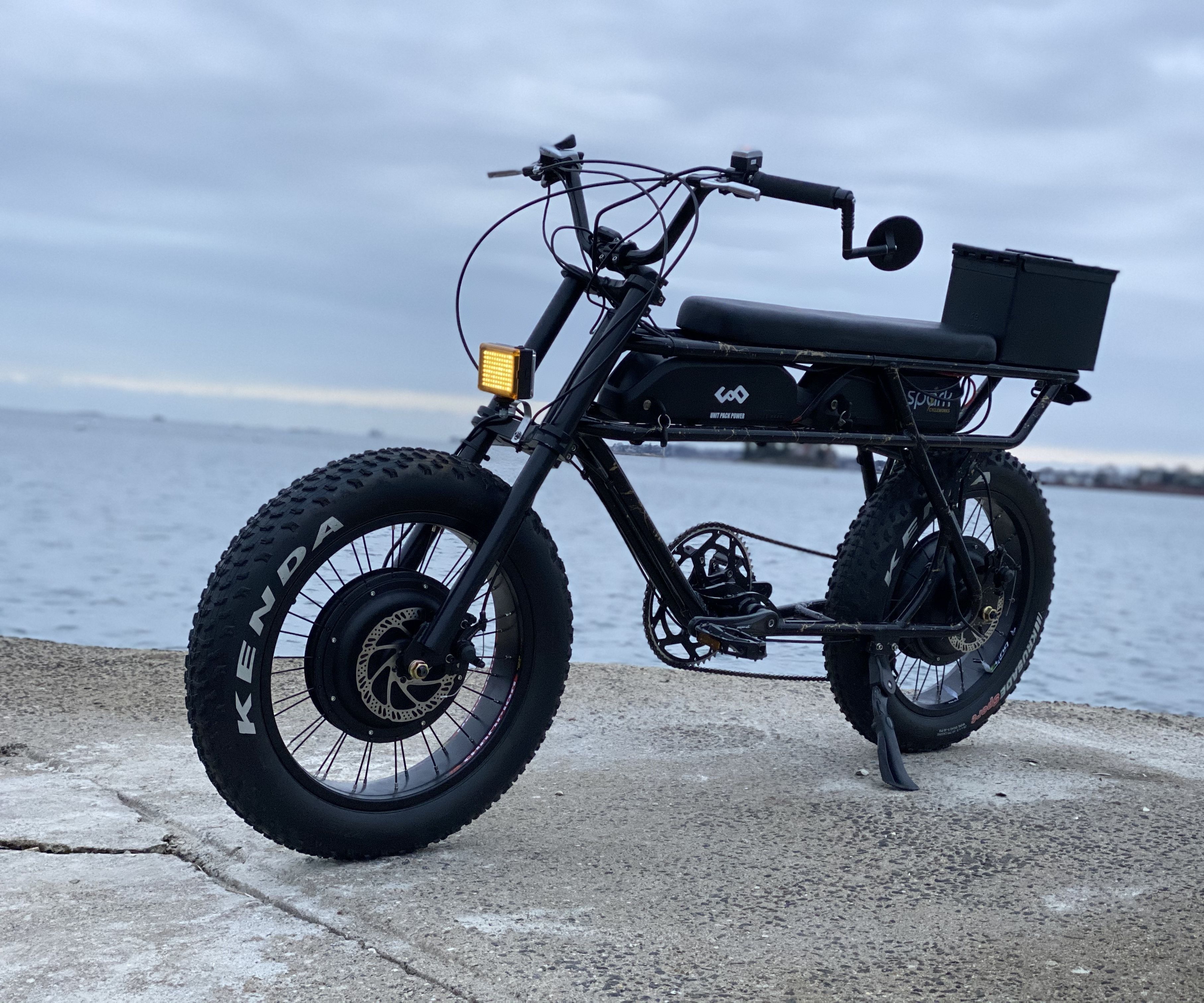 Two Wheel Drive Electric Moped
