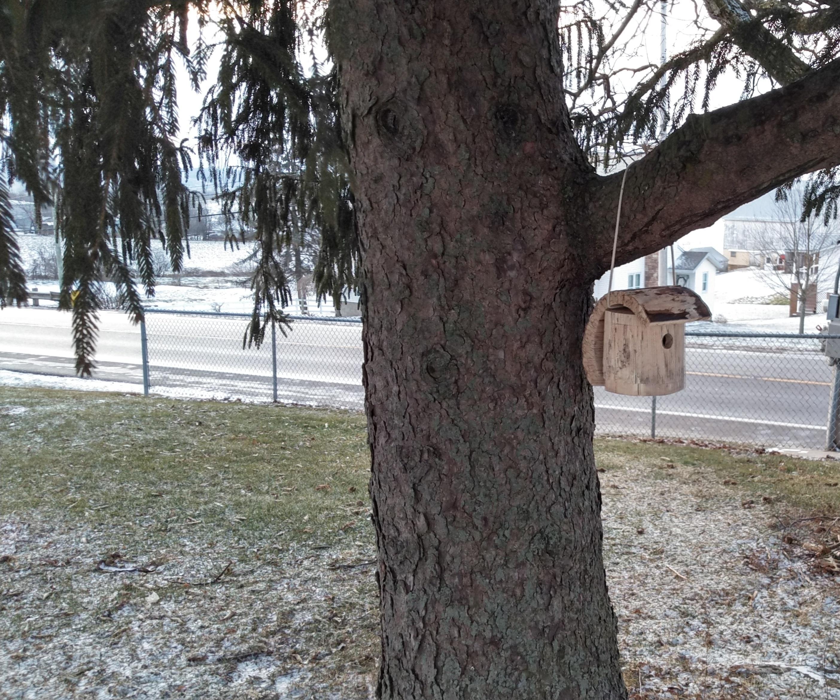 Simple Bandsaw Birdhouse