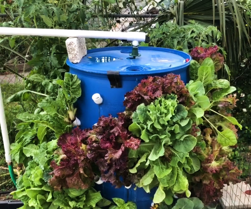 Aeroponic Barrel Garden