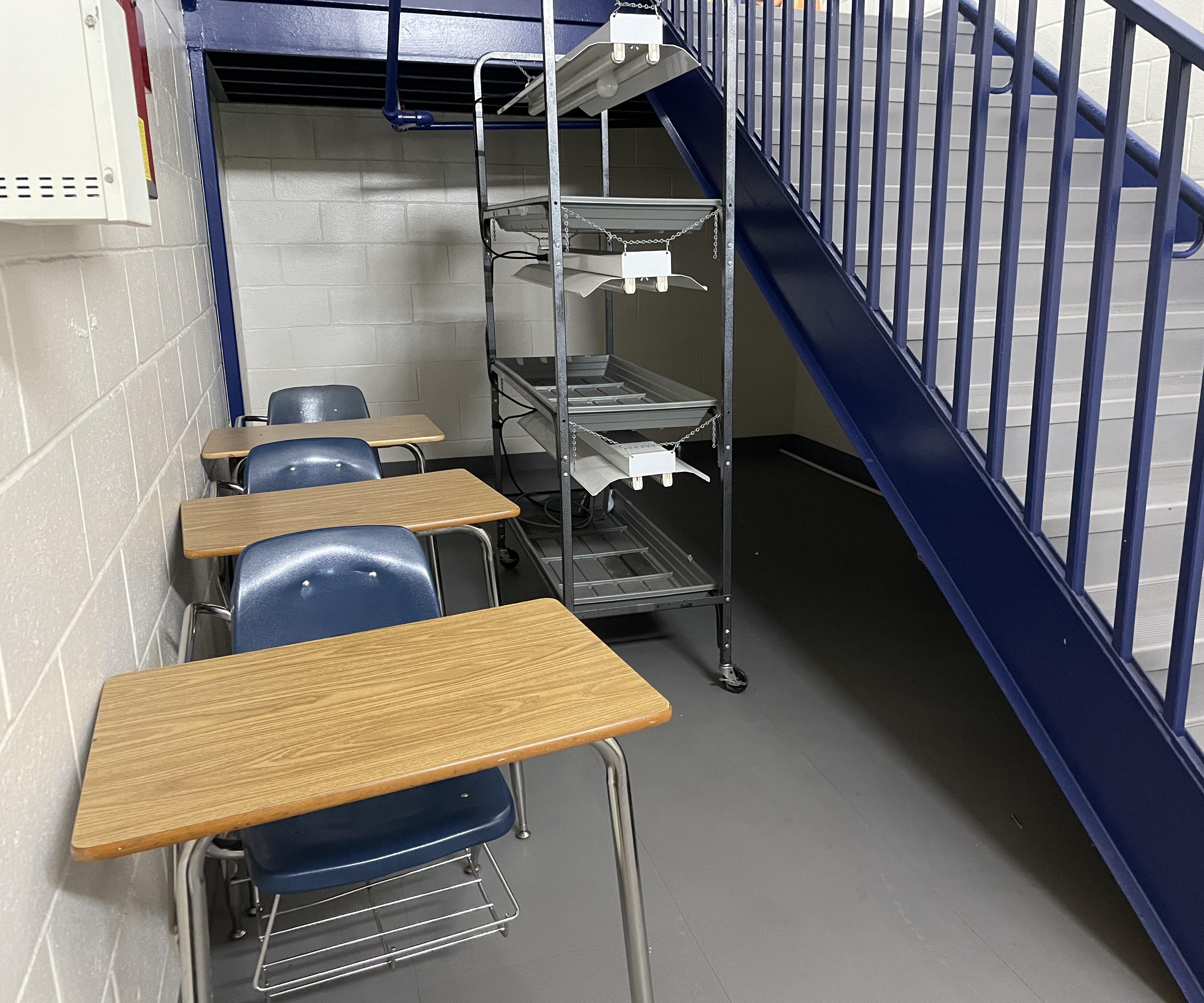 Secret Hangout Spot!