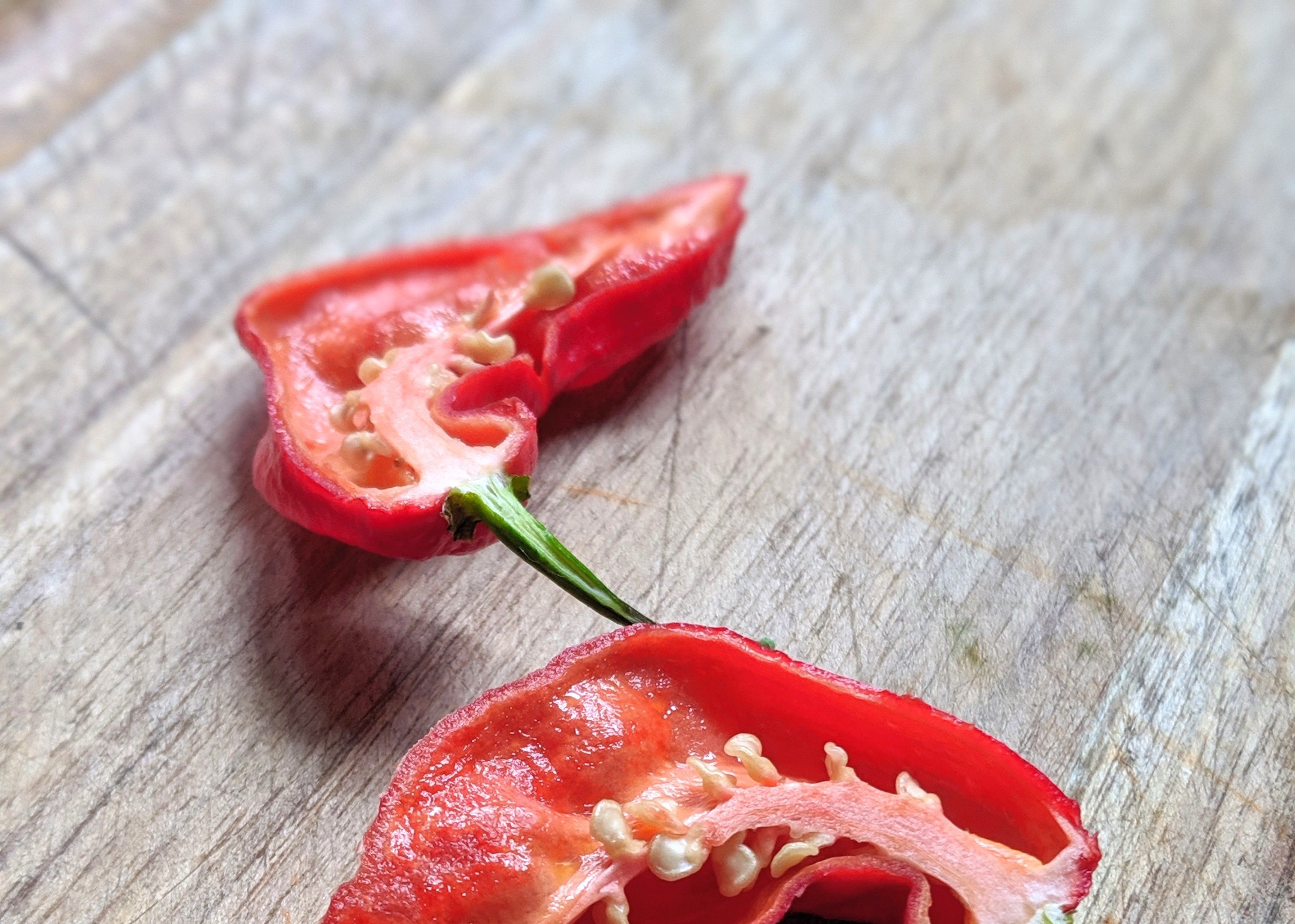 Pesky Hot Sauce With Pesky Ghost Peppers
