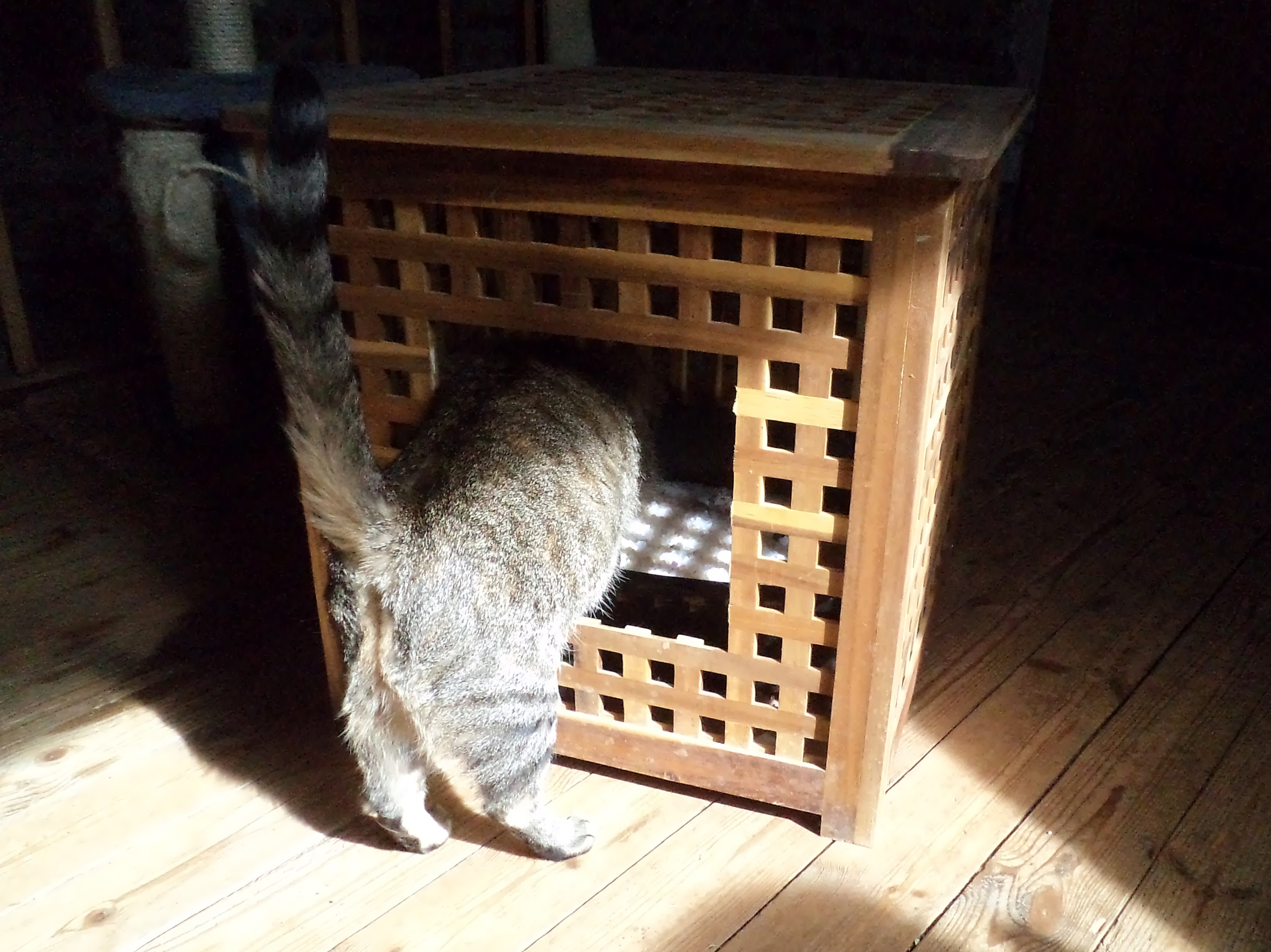 Elegant Ikea Hack Litterbox