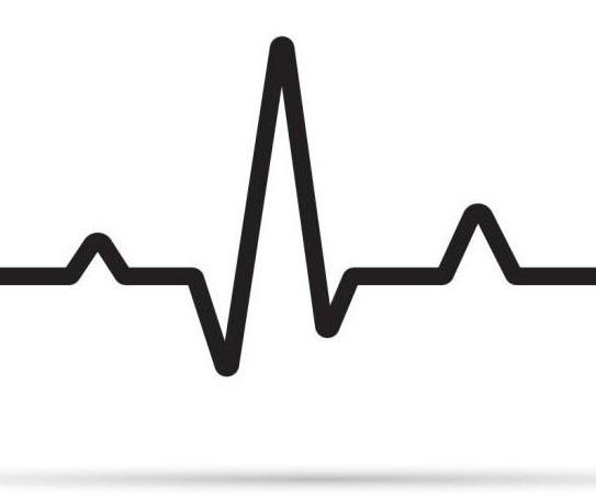 The Do-It-Yourself Electrocardiogram (ECG)