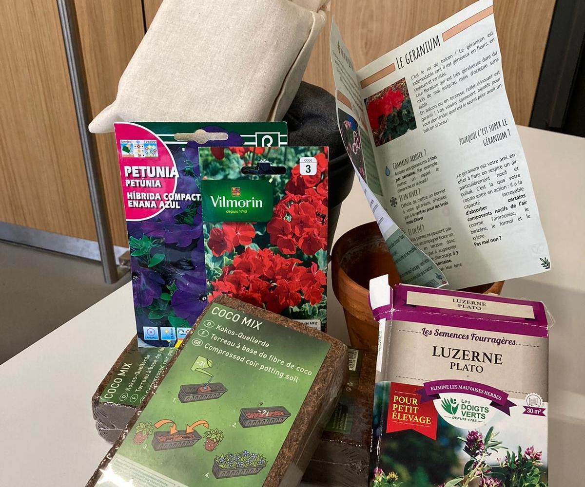 Kit De Plantes / Plant Kit   🇫🇷 / 🇬🇧