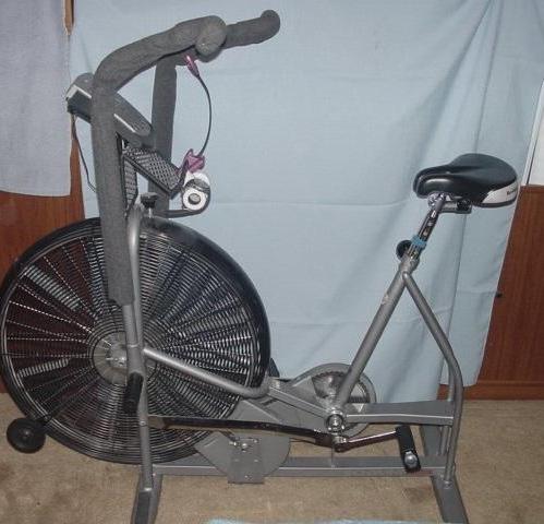 AirDyne Main Chain With Half Link Replacement