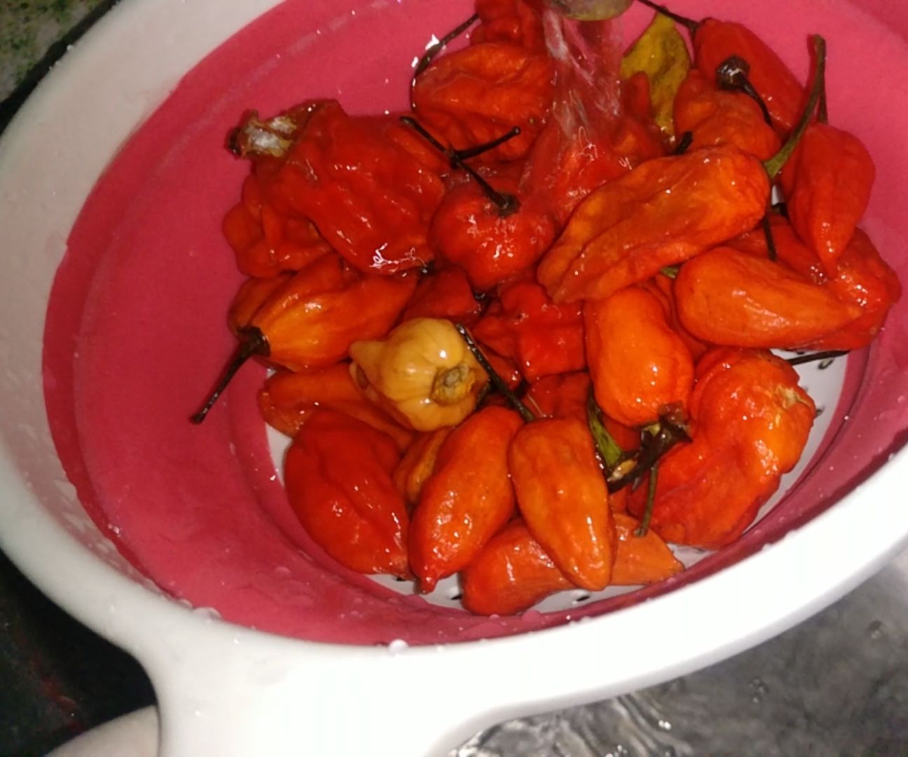 Ghost Chili Pickle| Bhut Jholokia Pickle|Spicy Pickle