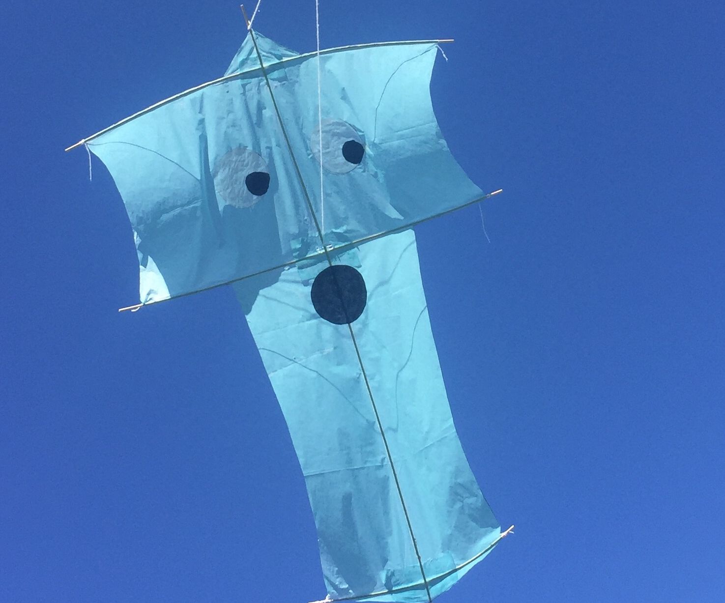 Sode Dako Kite by Laverne and Shirley