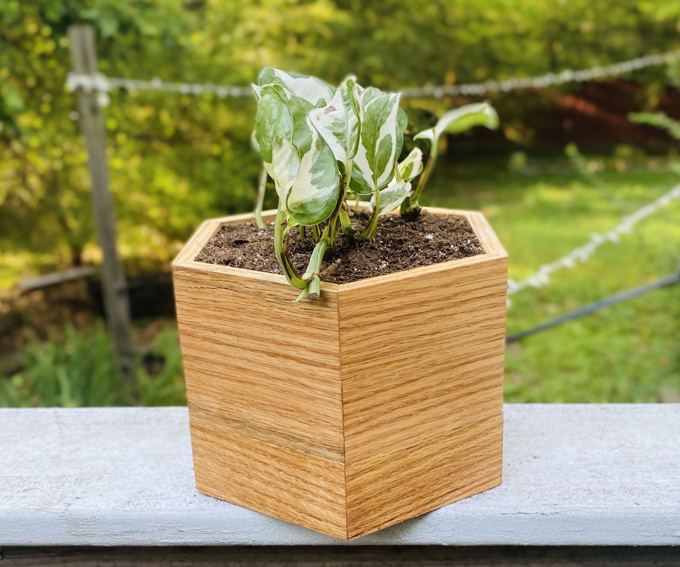 Hexagonal Planter 