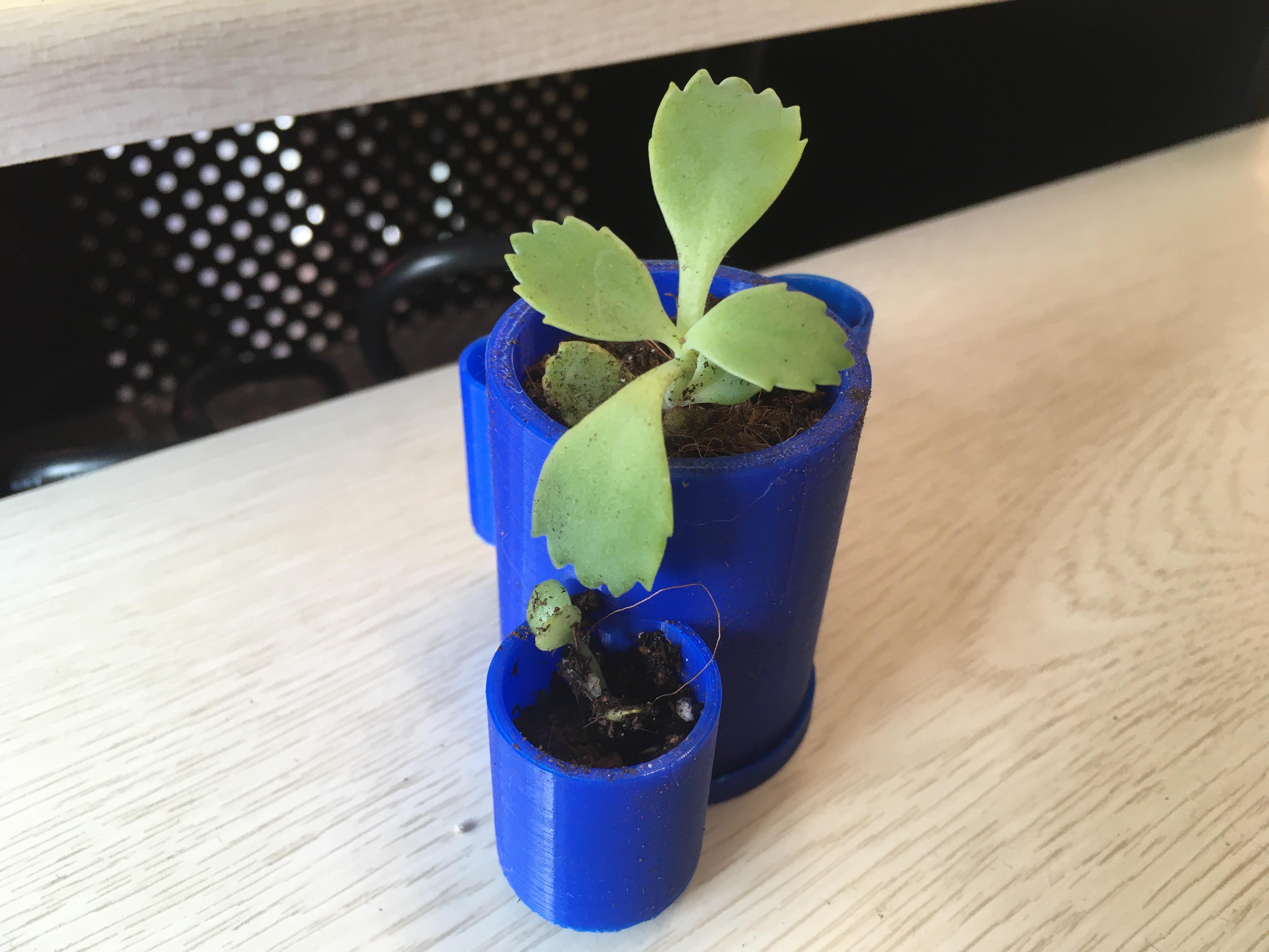 Classroom Plant Pot 