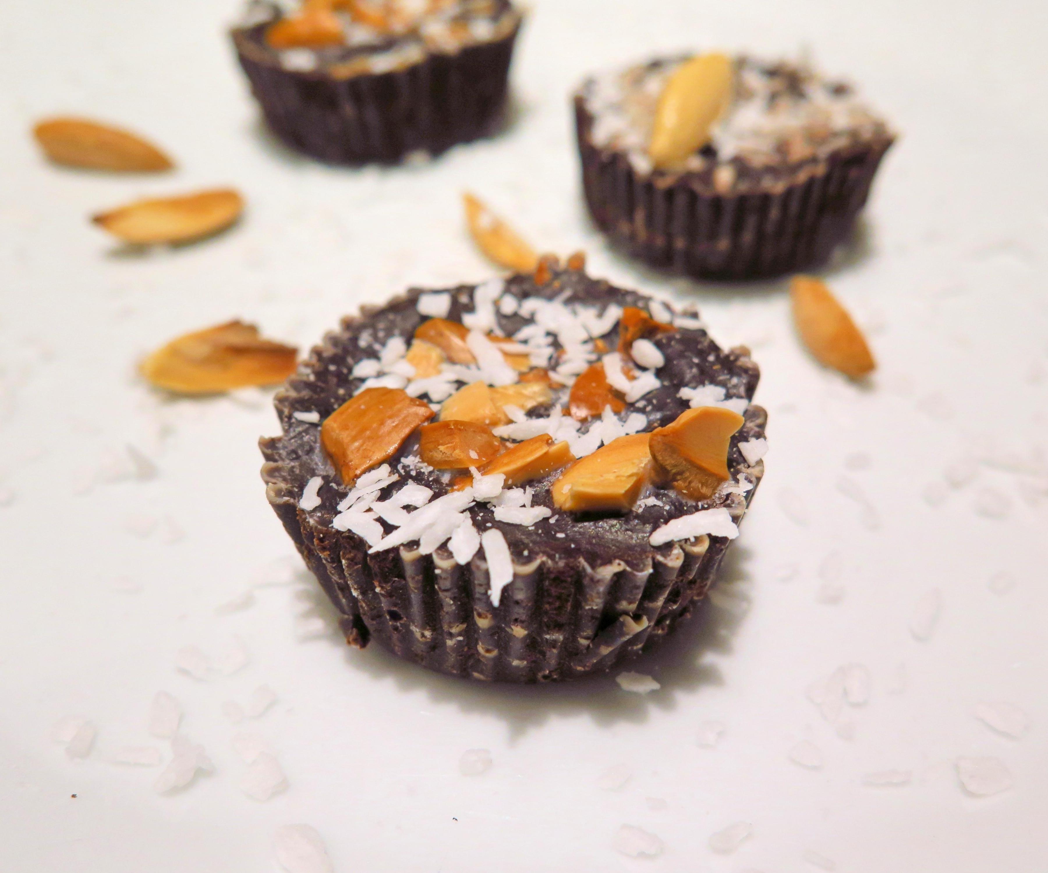 Gourmet Dark Chocolate