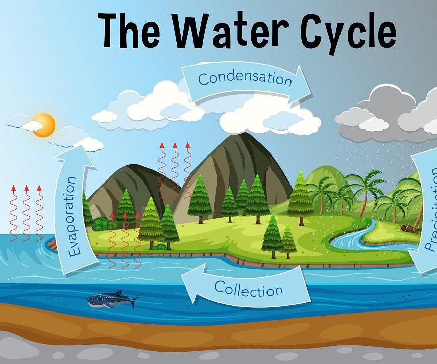 Exploring Water - Water Filter_Aditya 08CR