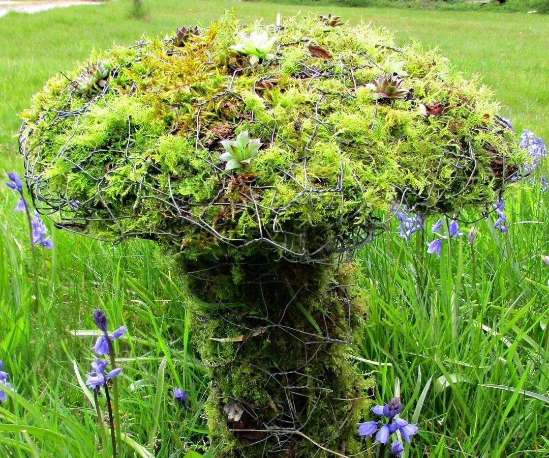 Chicken Wire and Moss Toadstool Living Sculpture