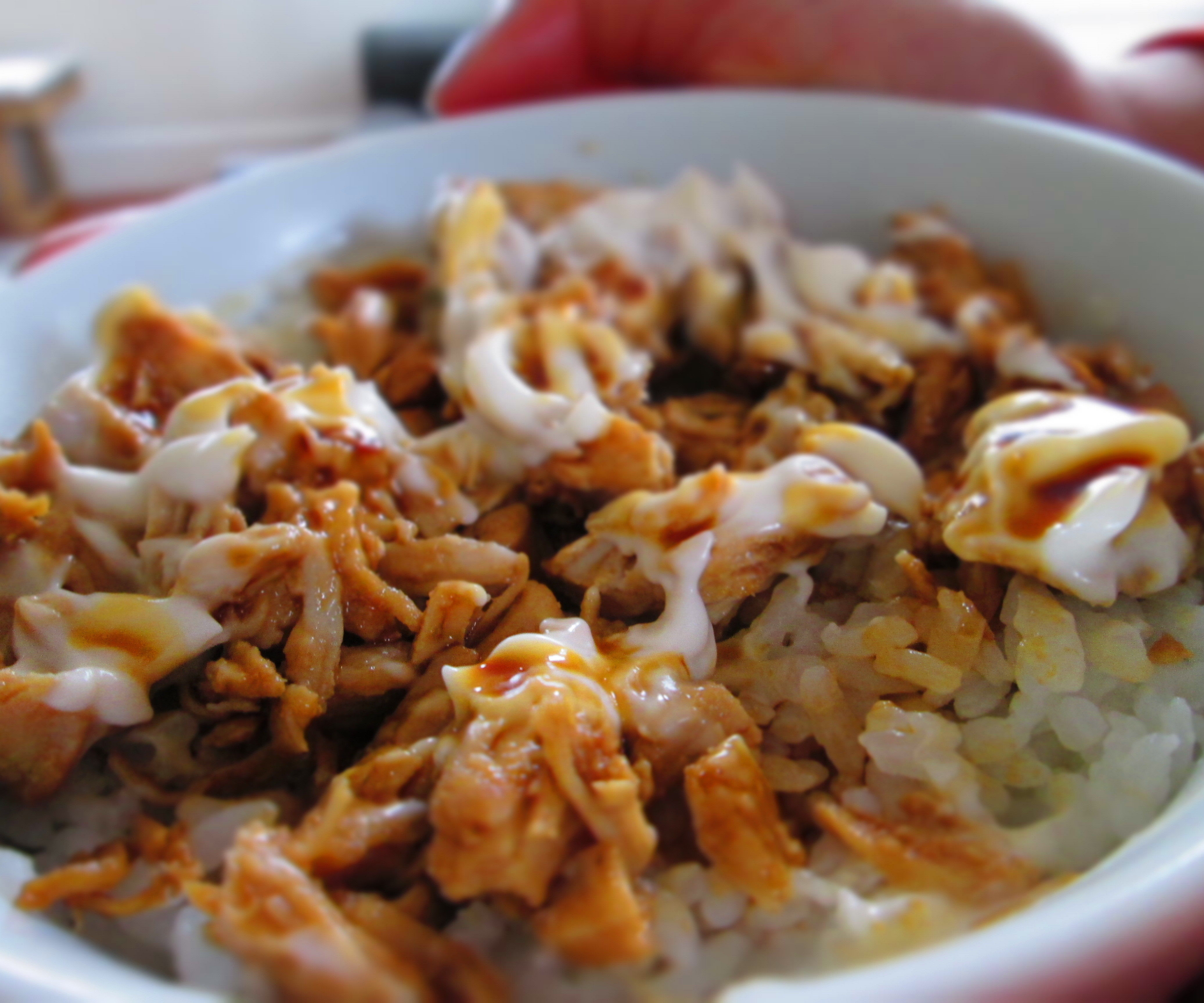 Easy Teriyaki Chicken on Rice