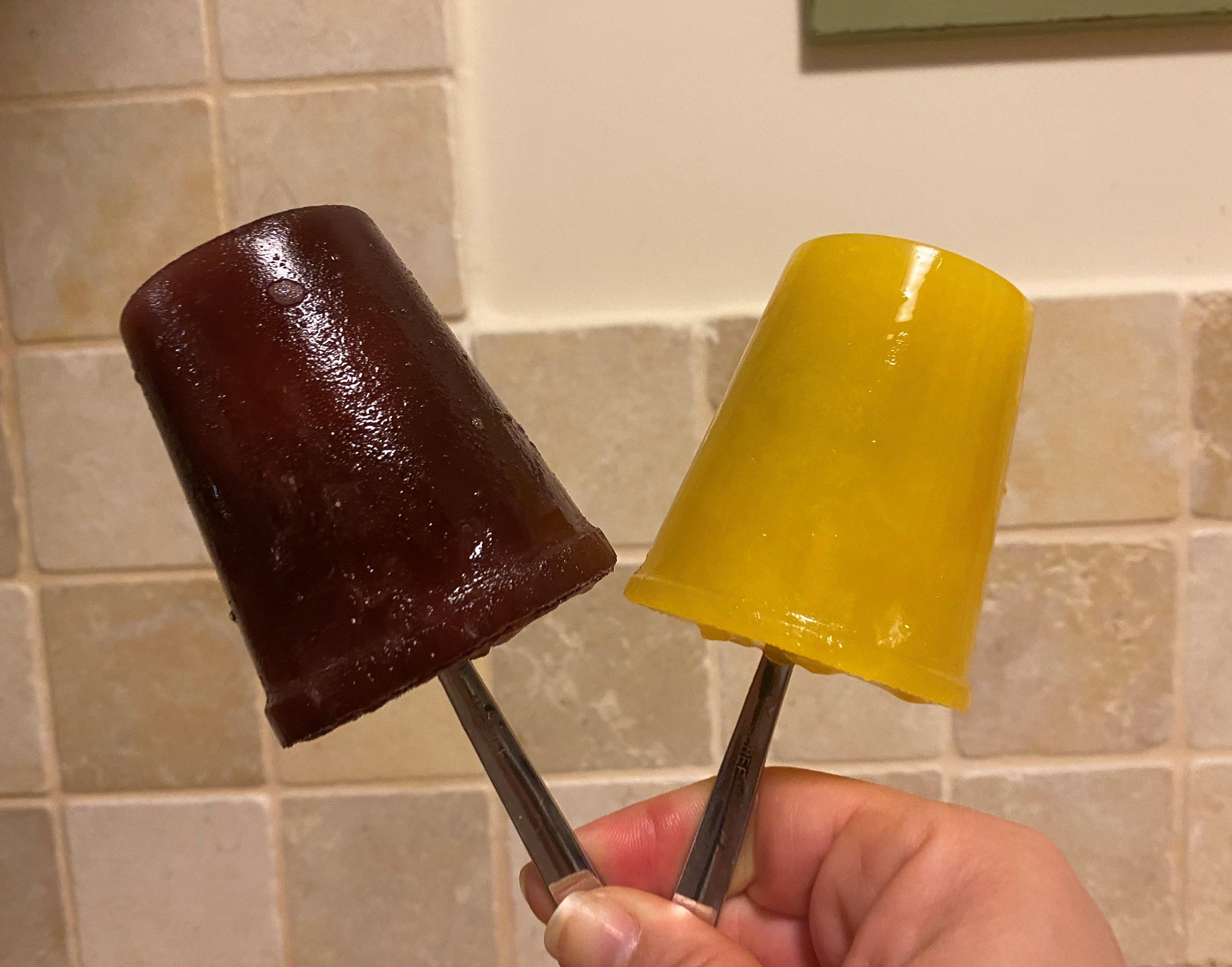 Homemade Eco-Friendly Ice Lolly Recipe