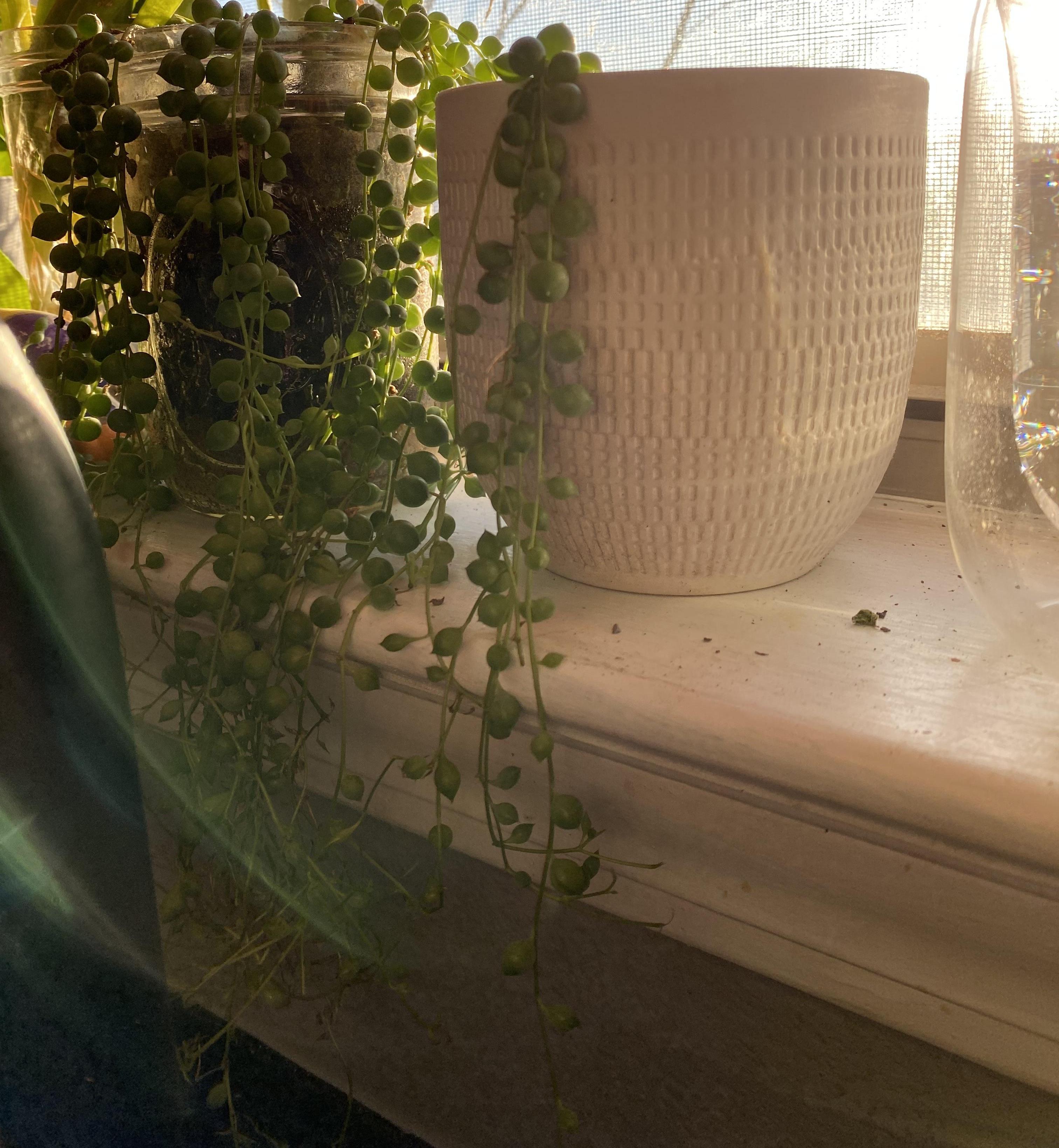 Water Propagating String of Pearls