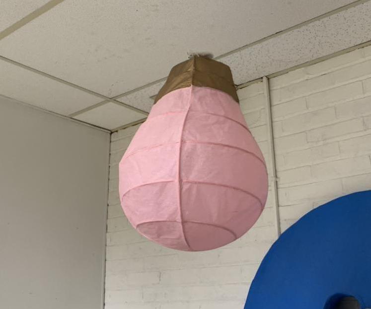 Reed and Paper Lantern