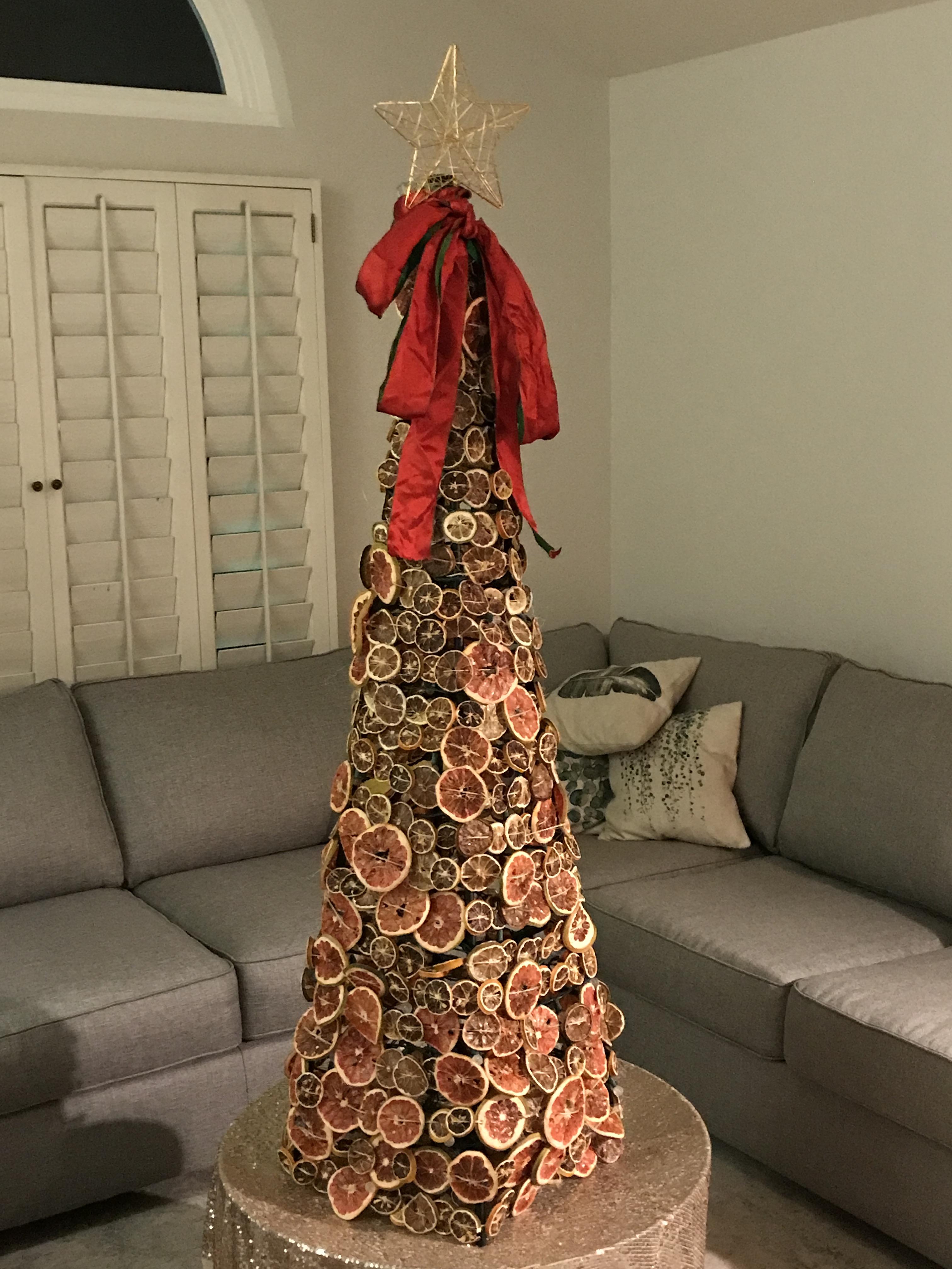 Repurposed/Upcycled Christmas Tree From Dried Citrus 
