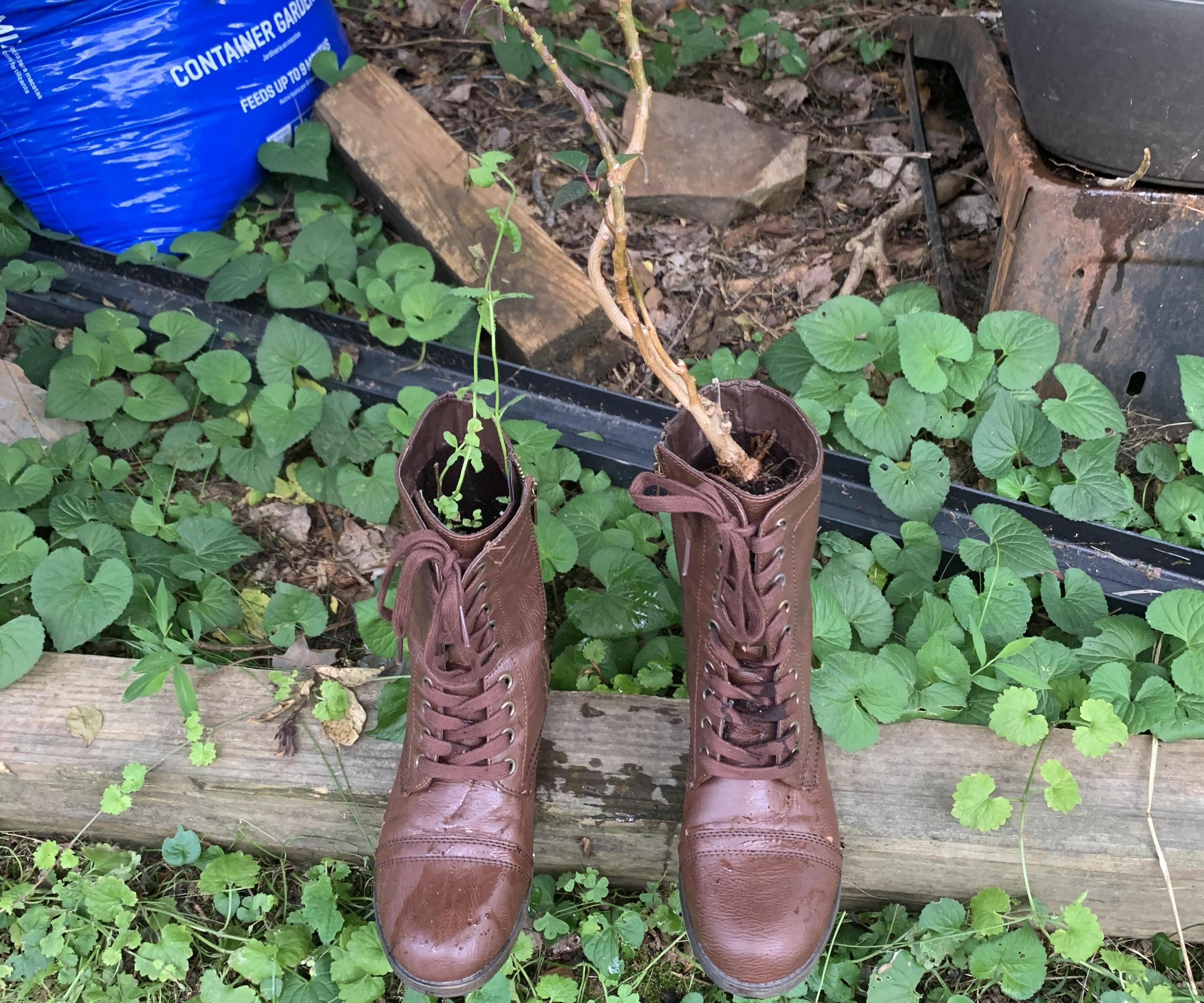 Boot Planter By: Gael Fraire 