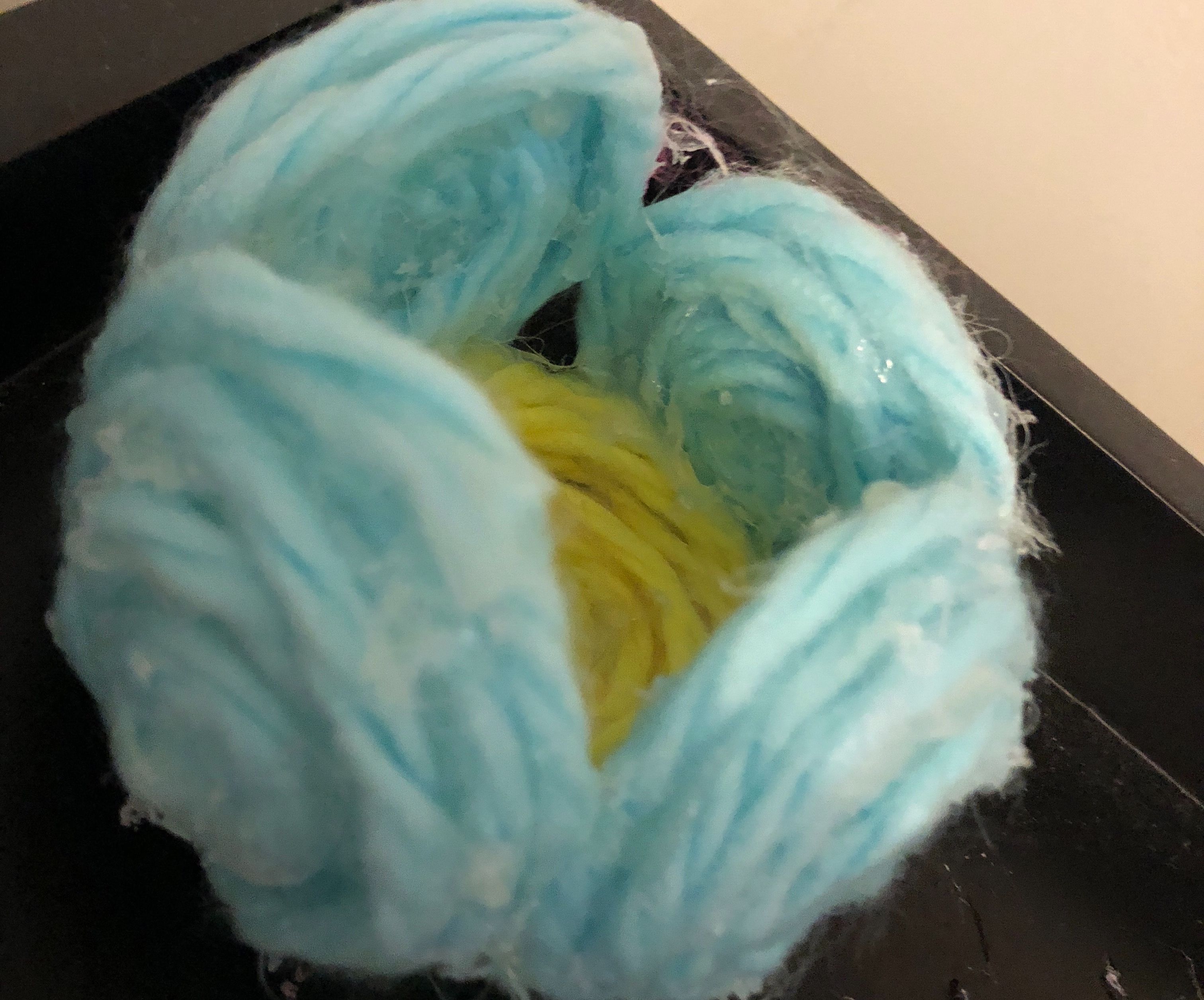 Yarn Bowl Dish (Using Only 3 Supplies)