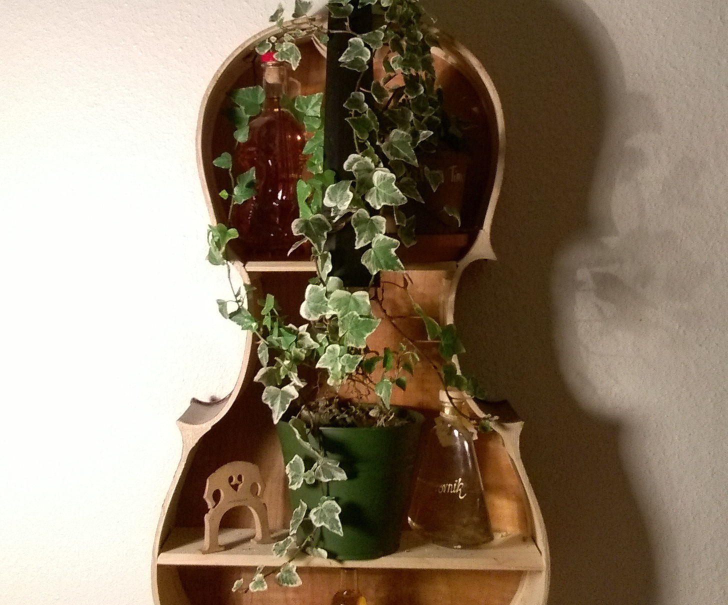Ivy Violoncello