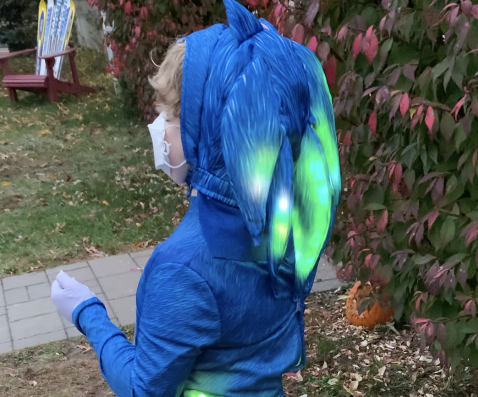 Sonic the Hedgehog Costume
