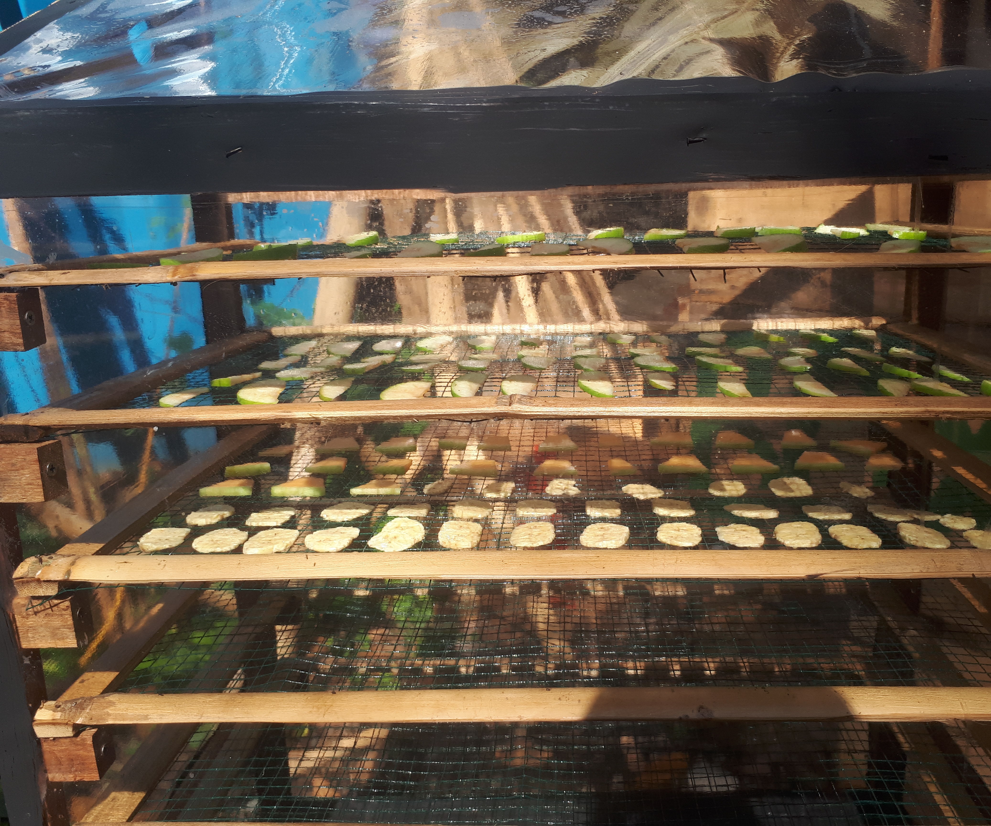 Crunchy Dried Fruits - Sun Dryer 