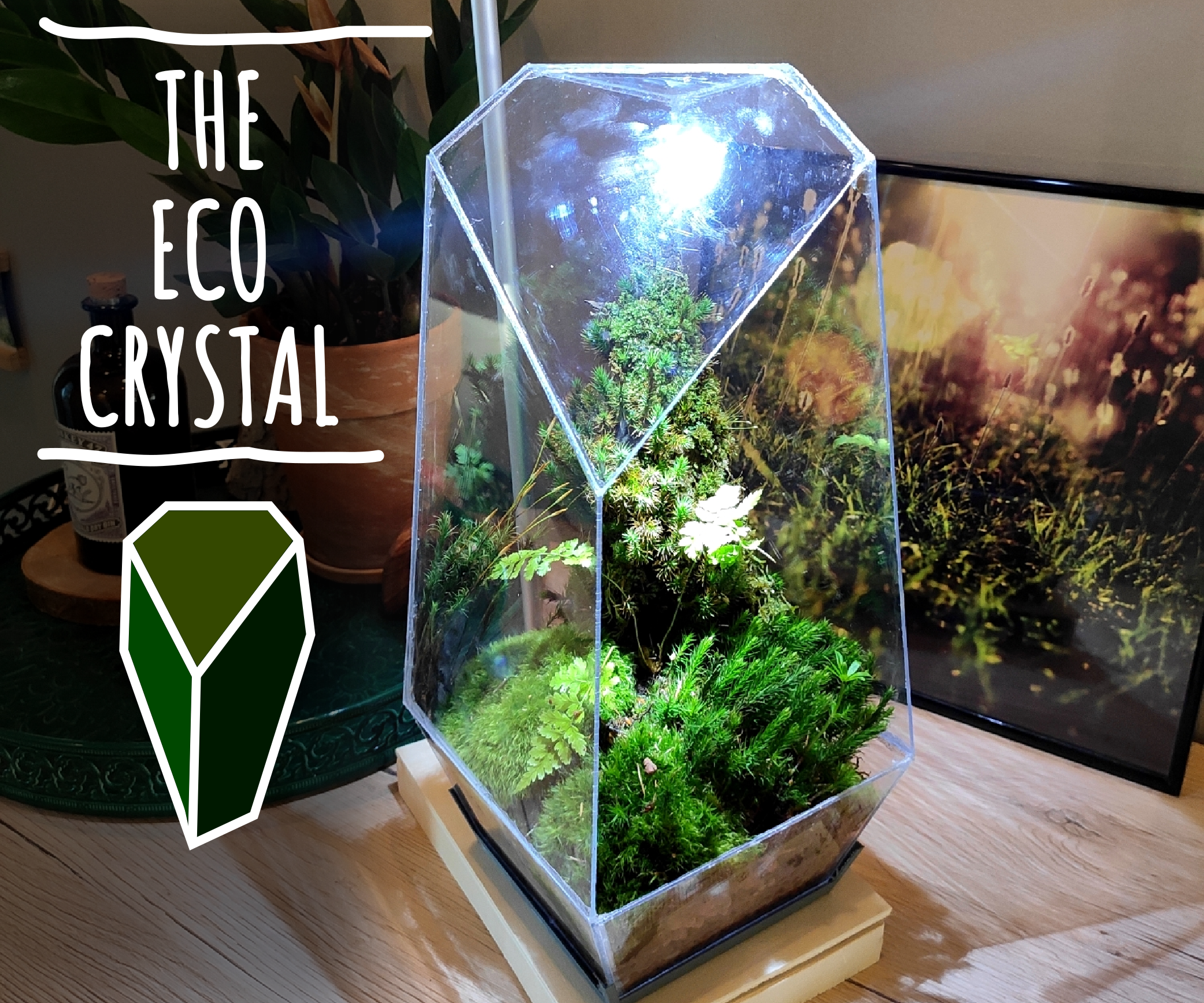 The Eco-Crystal - Mini Ecosystem in a Crystal Shaped Planter
