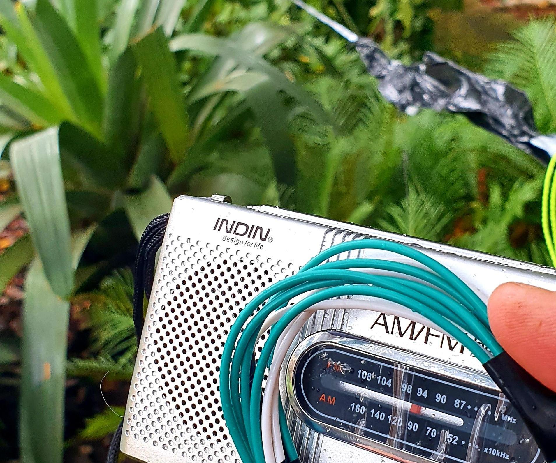 AM Radio Antenna Using Beverage Cans