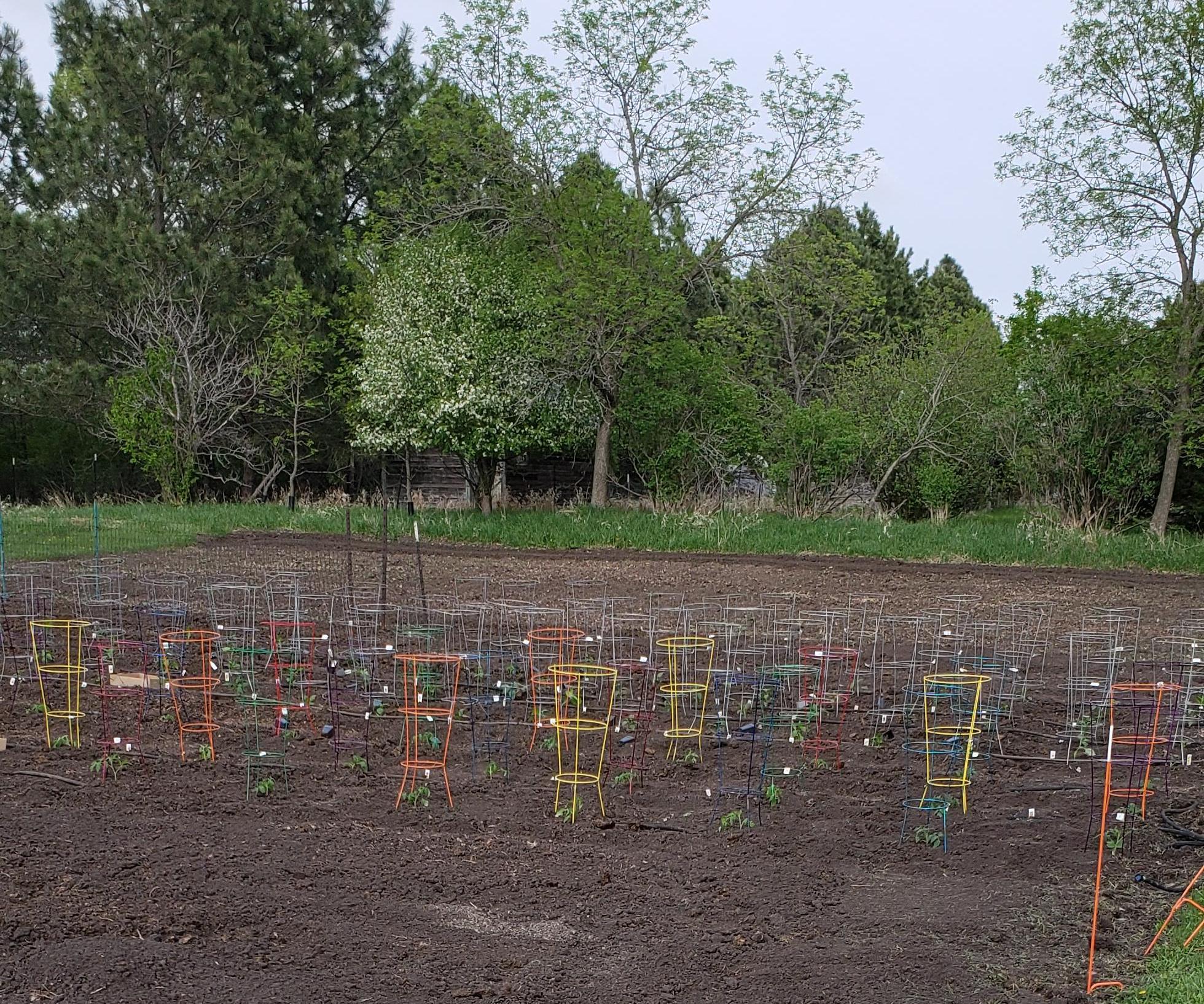 First Steps in Starting a Garden 