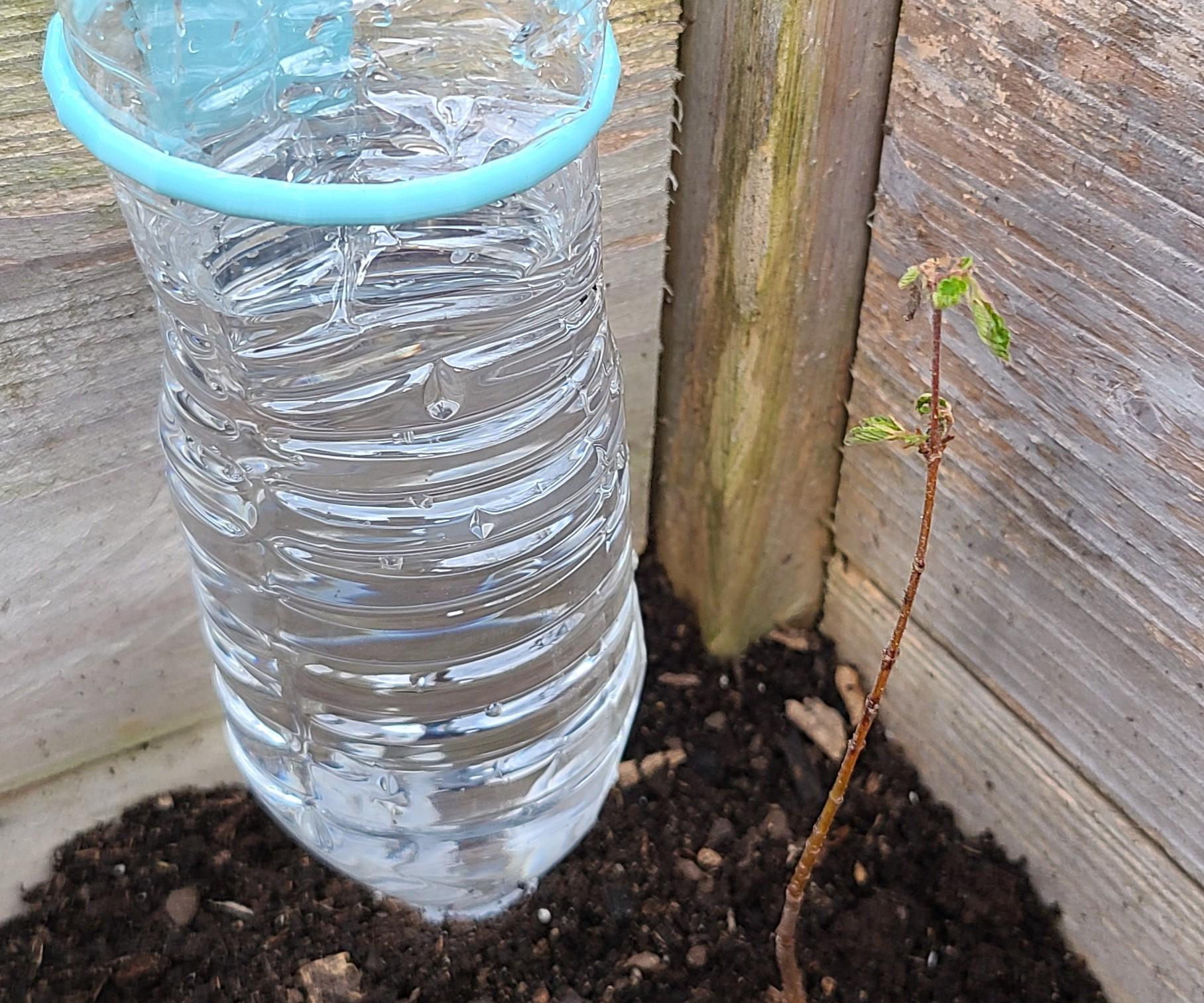  Recycled Watering Globes
