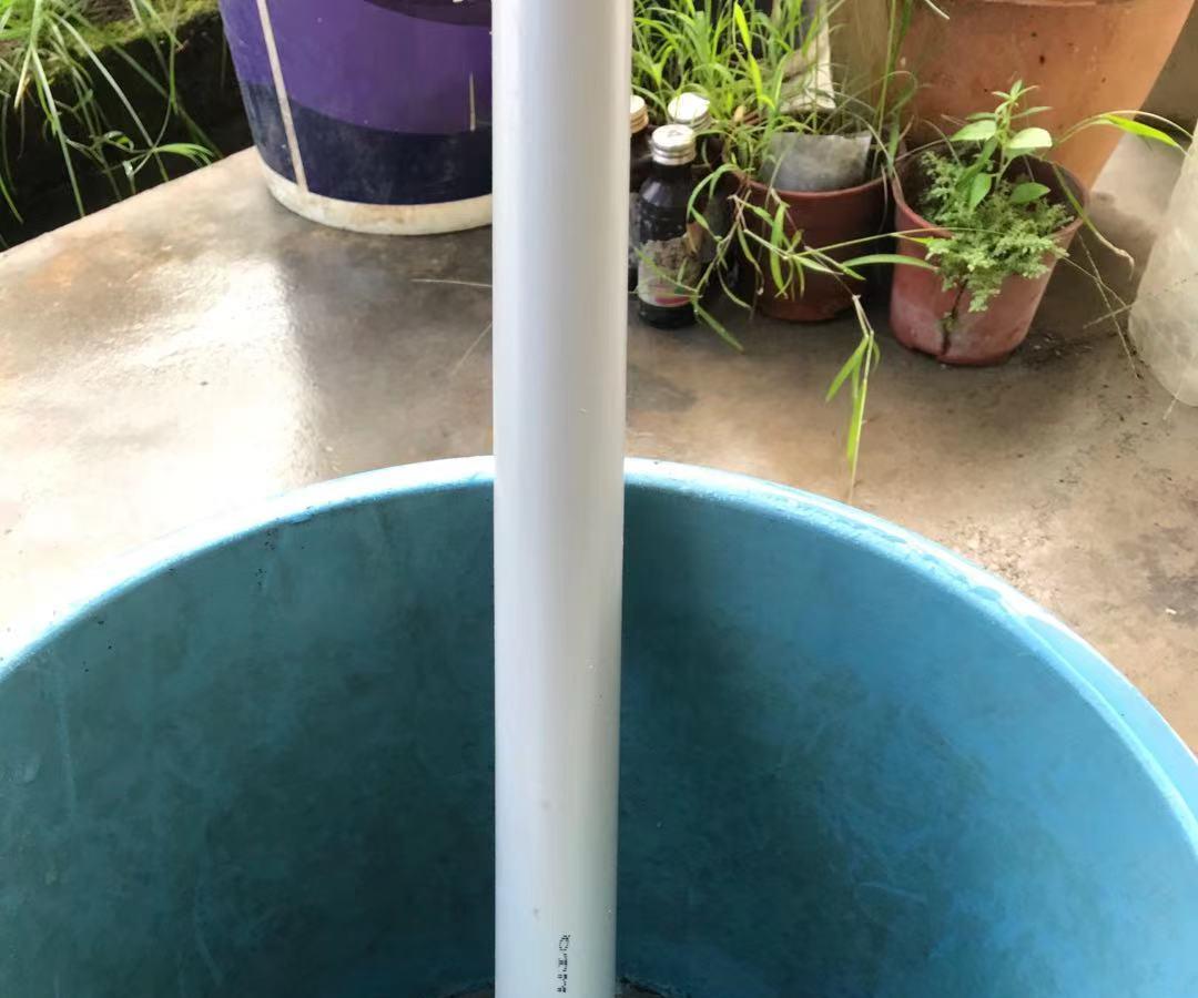 Natural Pest Repellent