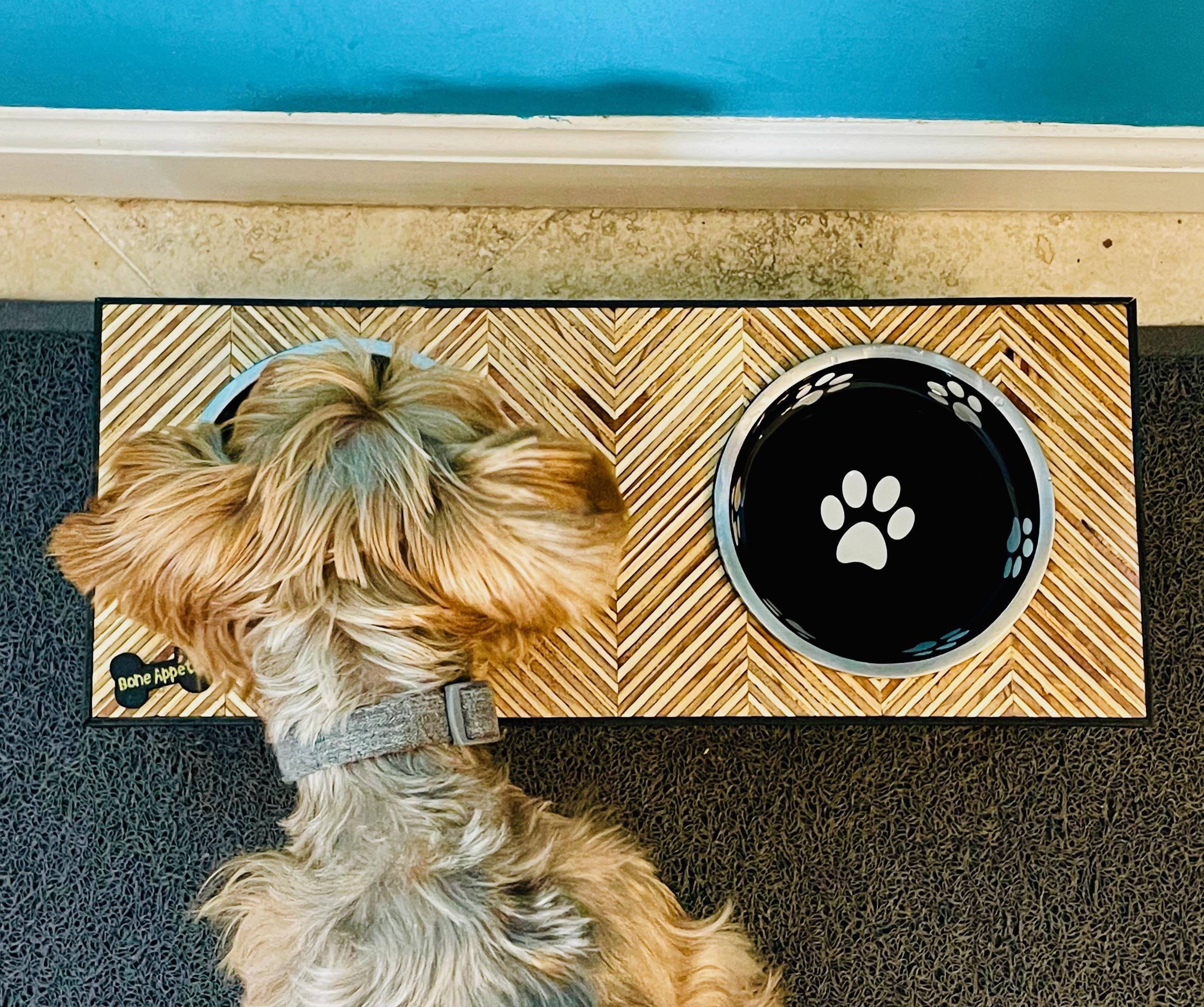 Plywood Pattern Dog Bowl Stand!